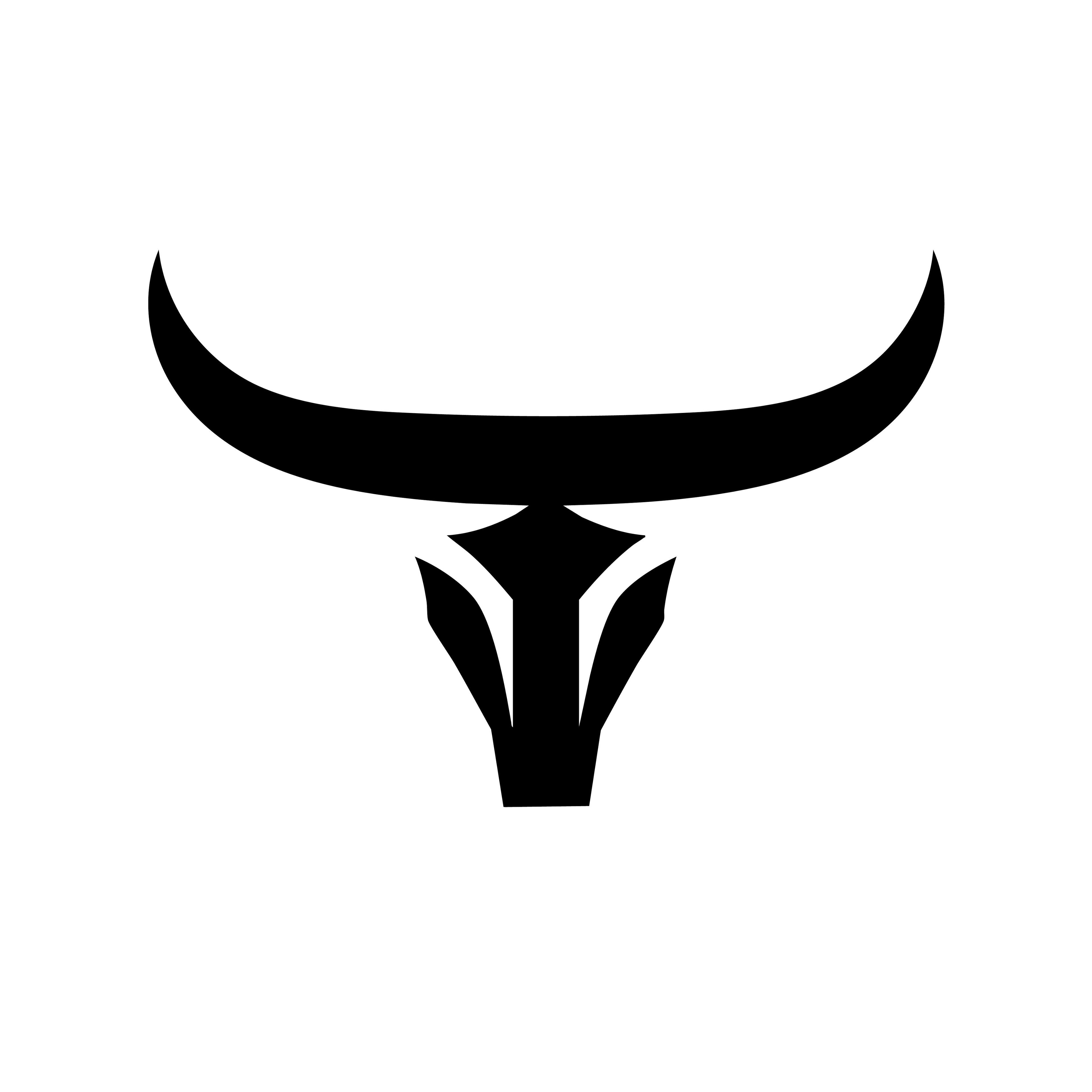 Vinyl Decal / Laptop Sticker/ Car Decal / Phone Sticker Longhorn
