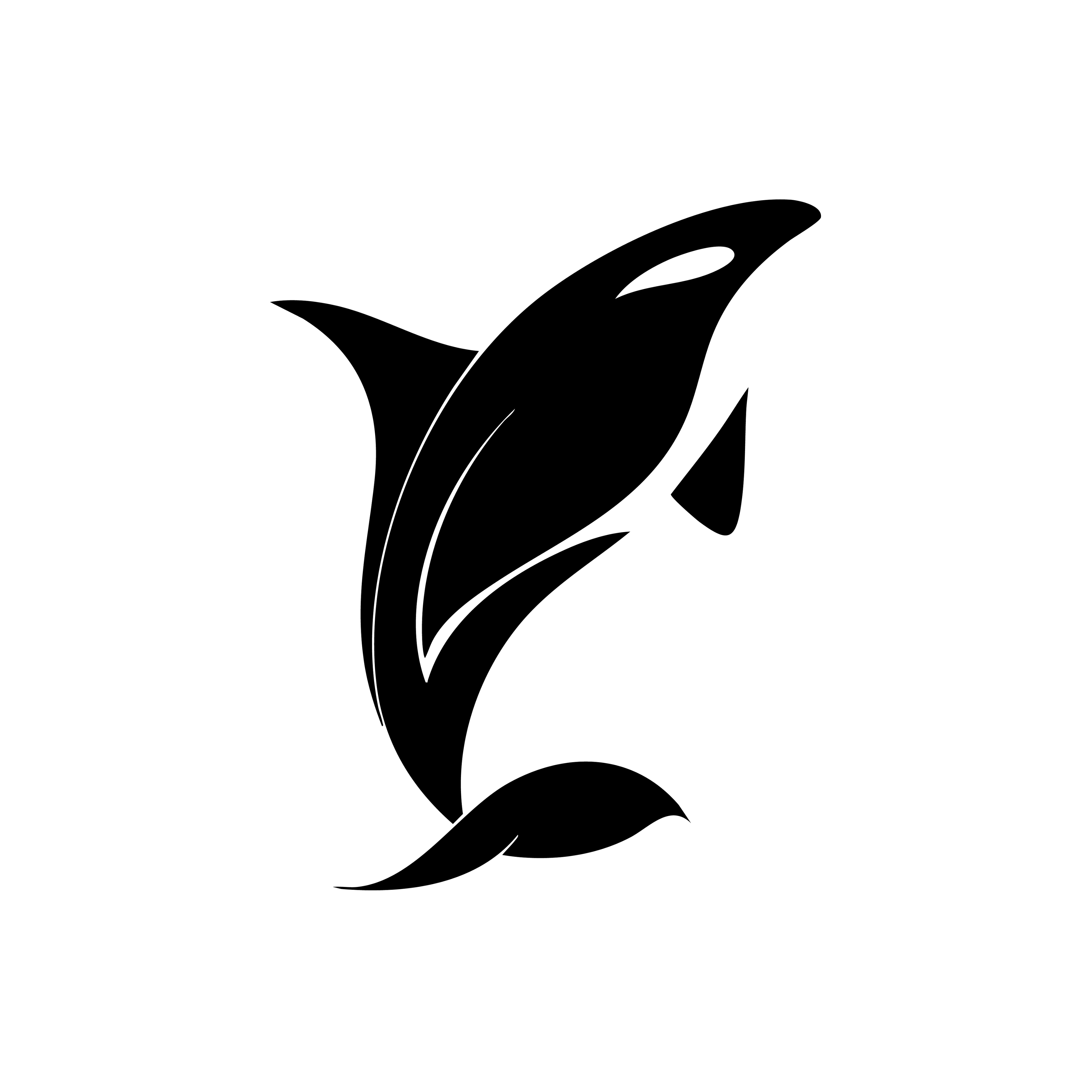 Vinyl Decal / Laptop Sticker/ Car Decal / Phone Sticker Orca Whale
