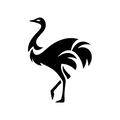 Vinyl Decal / Laptop Sticker/ Car Decal / Phone Sticker Ostrich