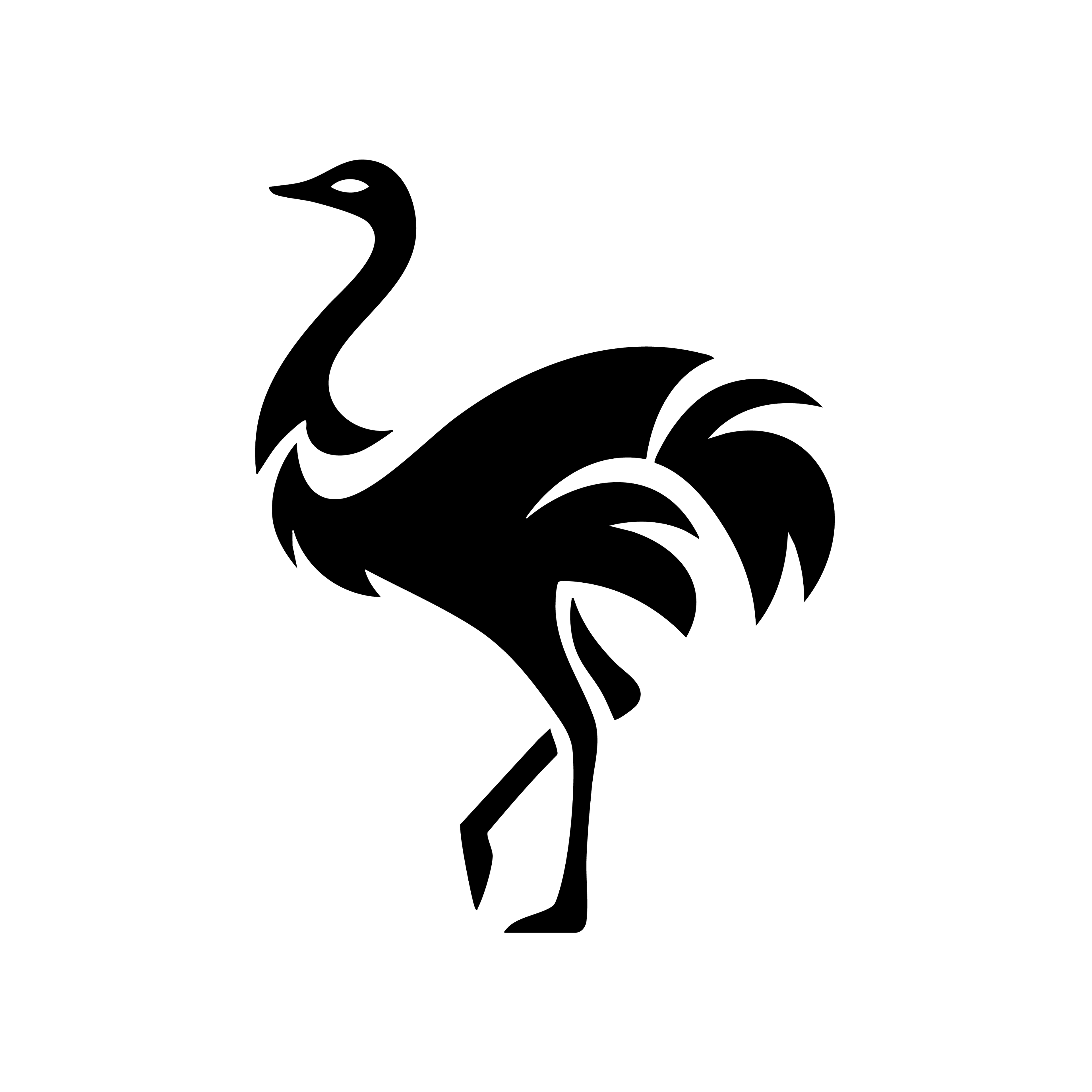 Vinyl Decal / Laptop Sticker/ Car Decal / Phone Sticker Ostrich
