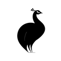 Vinyl Decal / Laptop Sticker/ Car Decal / Phone Sticker Peacock