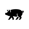 Vinyl Decal / Laptop Sticker/ Car Decal / Phone Sticker Pig