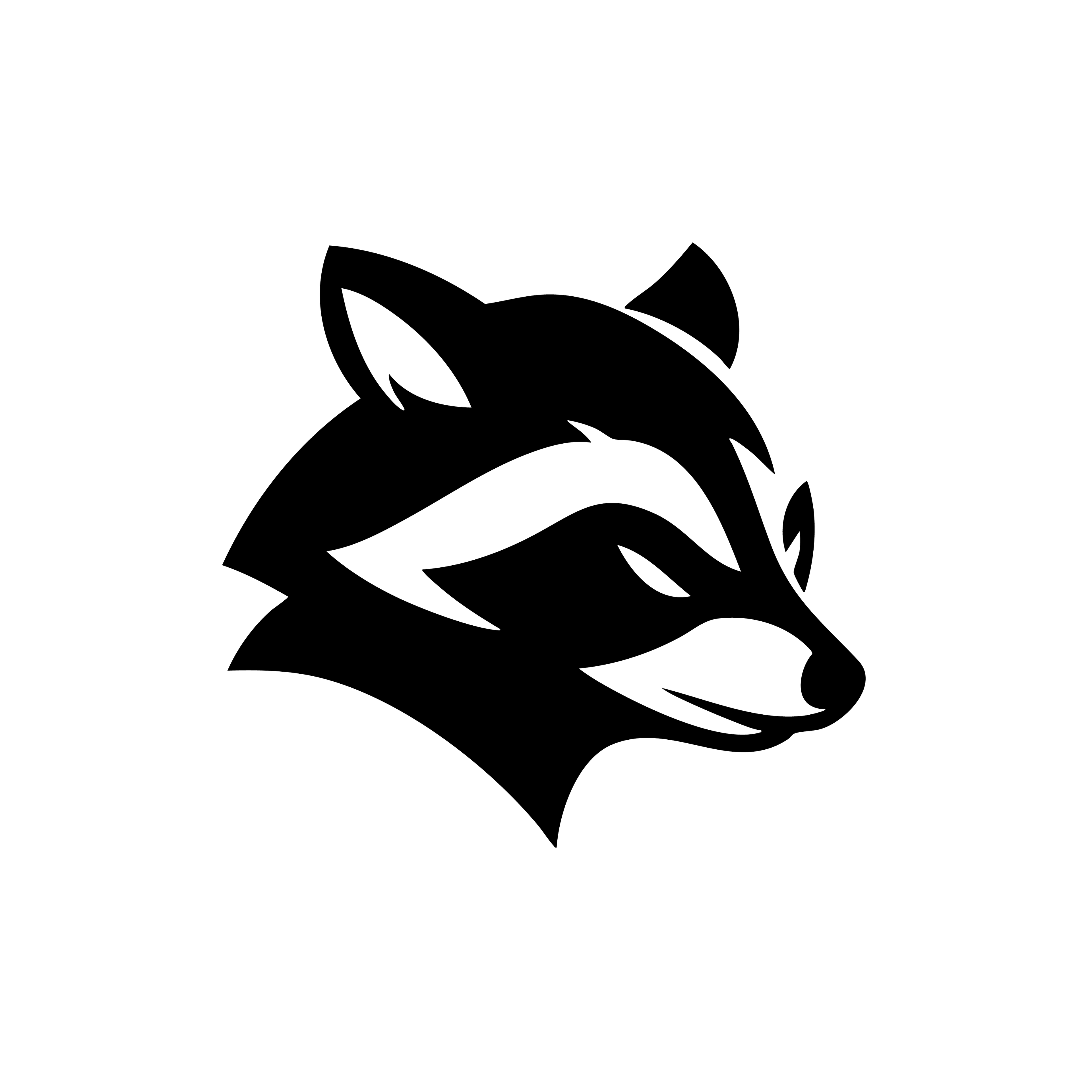 Vinyl Decal / Laptop Sticker/ Car Decal / Phone Sticker Racoon