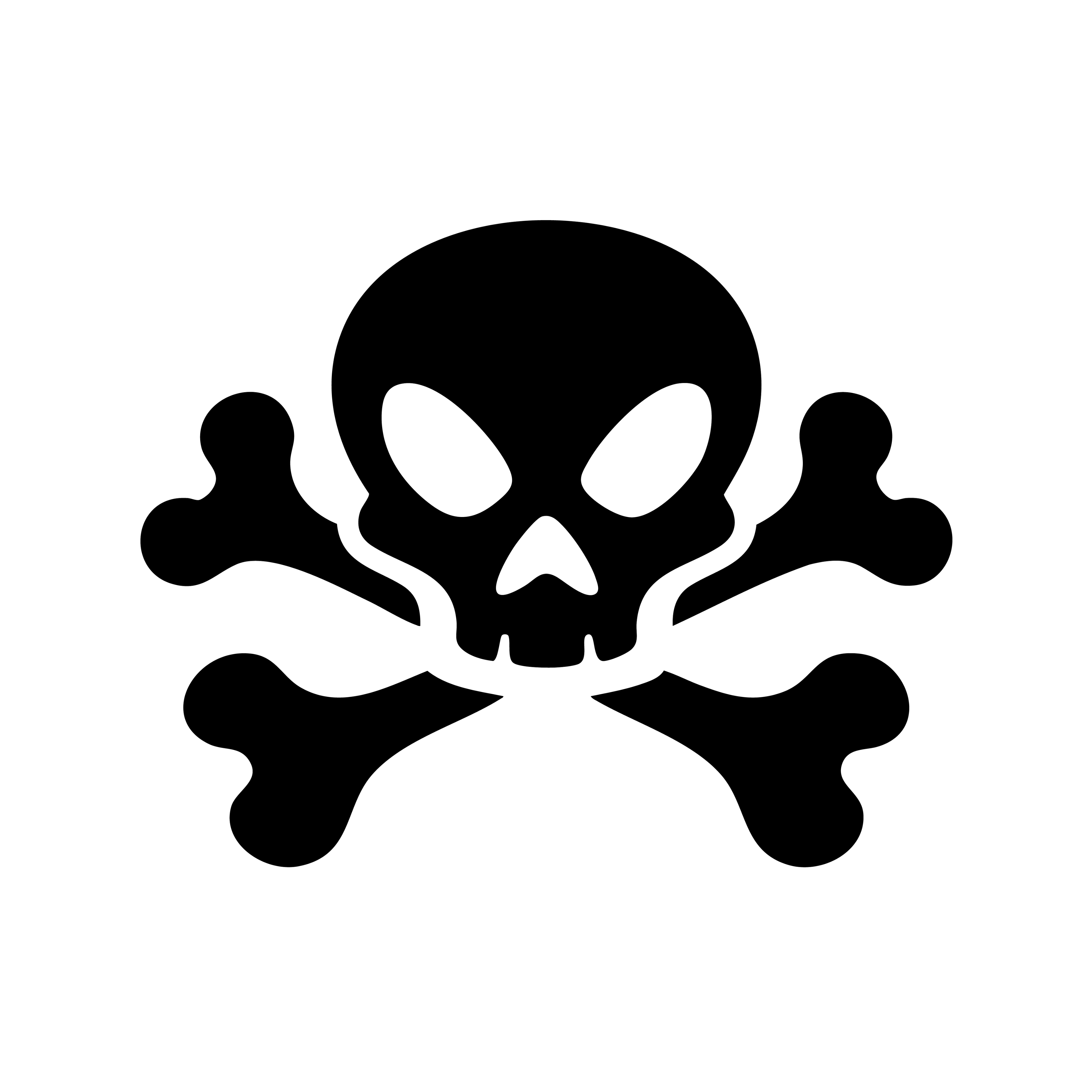 Vinyl Decal / Laptop Sticker/ Car Decal /  Skull & Crossbones