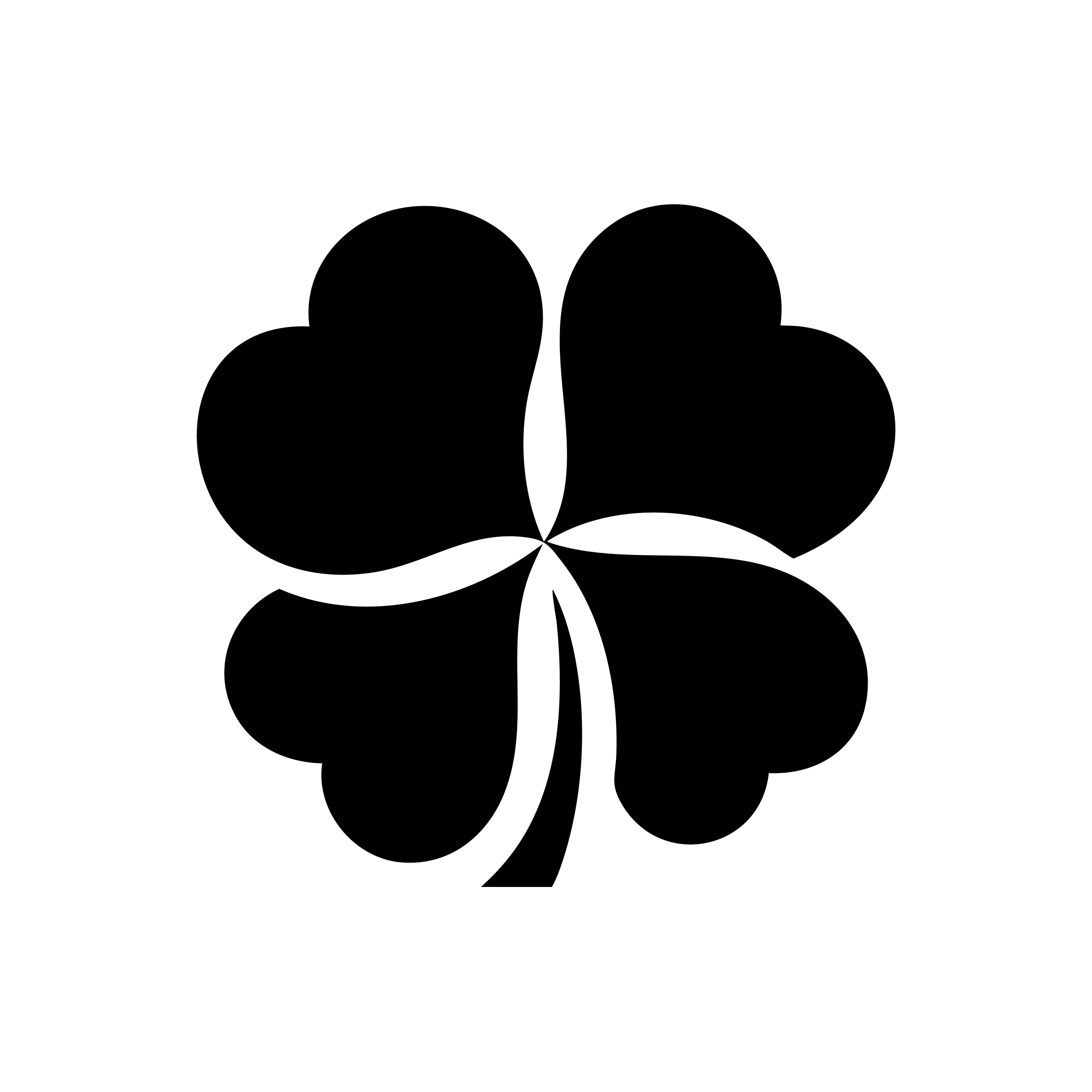 Vinyl Decal / Laptop Sticker/ Car Decal / Phone Sticker Shamrock