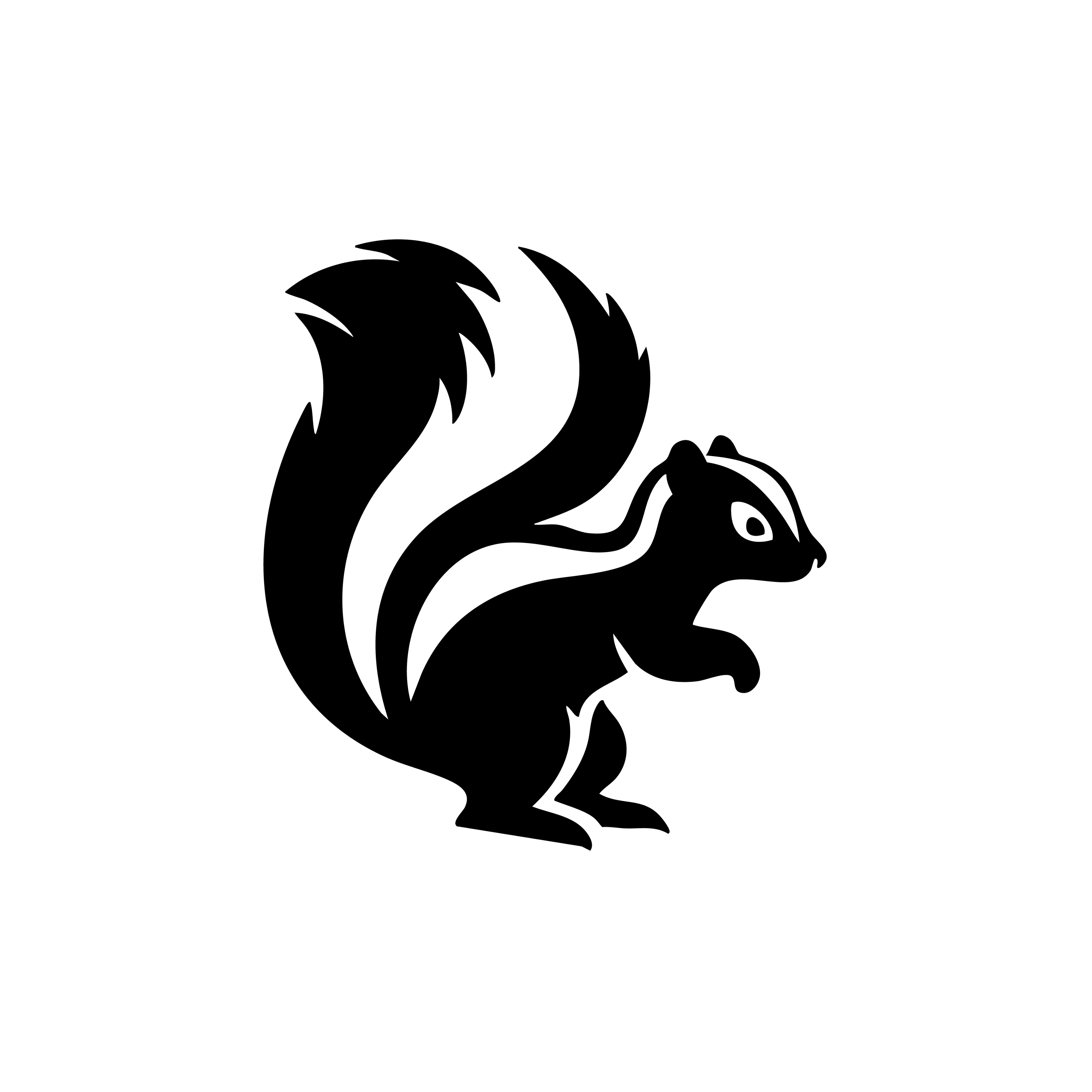 Vinyl Decal / Laptop Sticker/ Car Decal / Phone Sticker Skunk