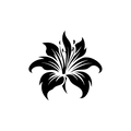 Vinyl Decal / Laptop Sticker/ Car Decal / Phone Sticker Stargazer