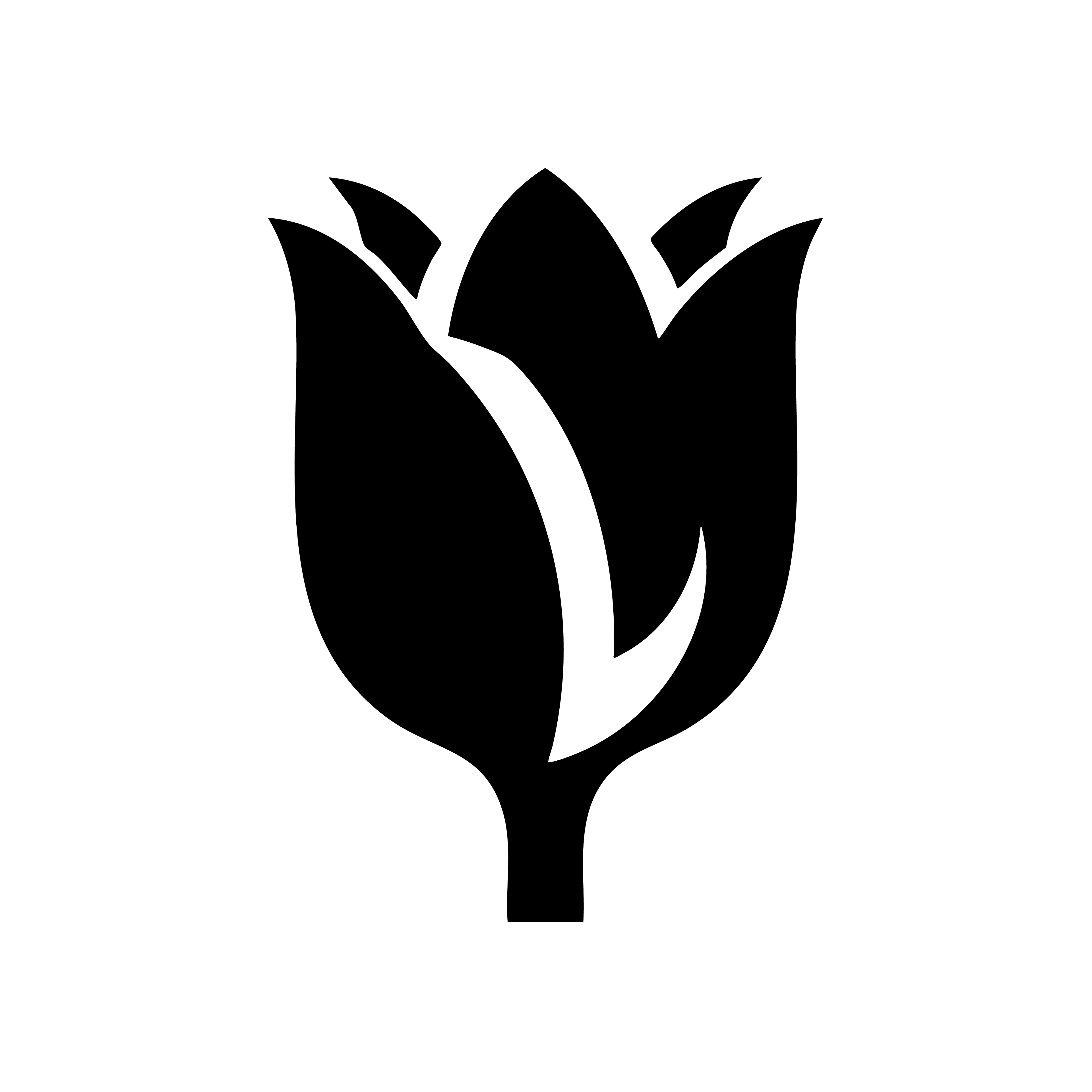 Vinyl Decal / Laptop Sticker/ Car Decal / Phone Sticker Tulip