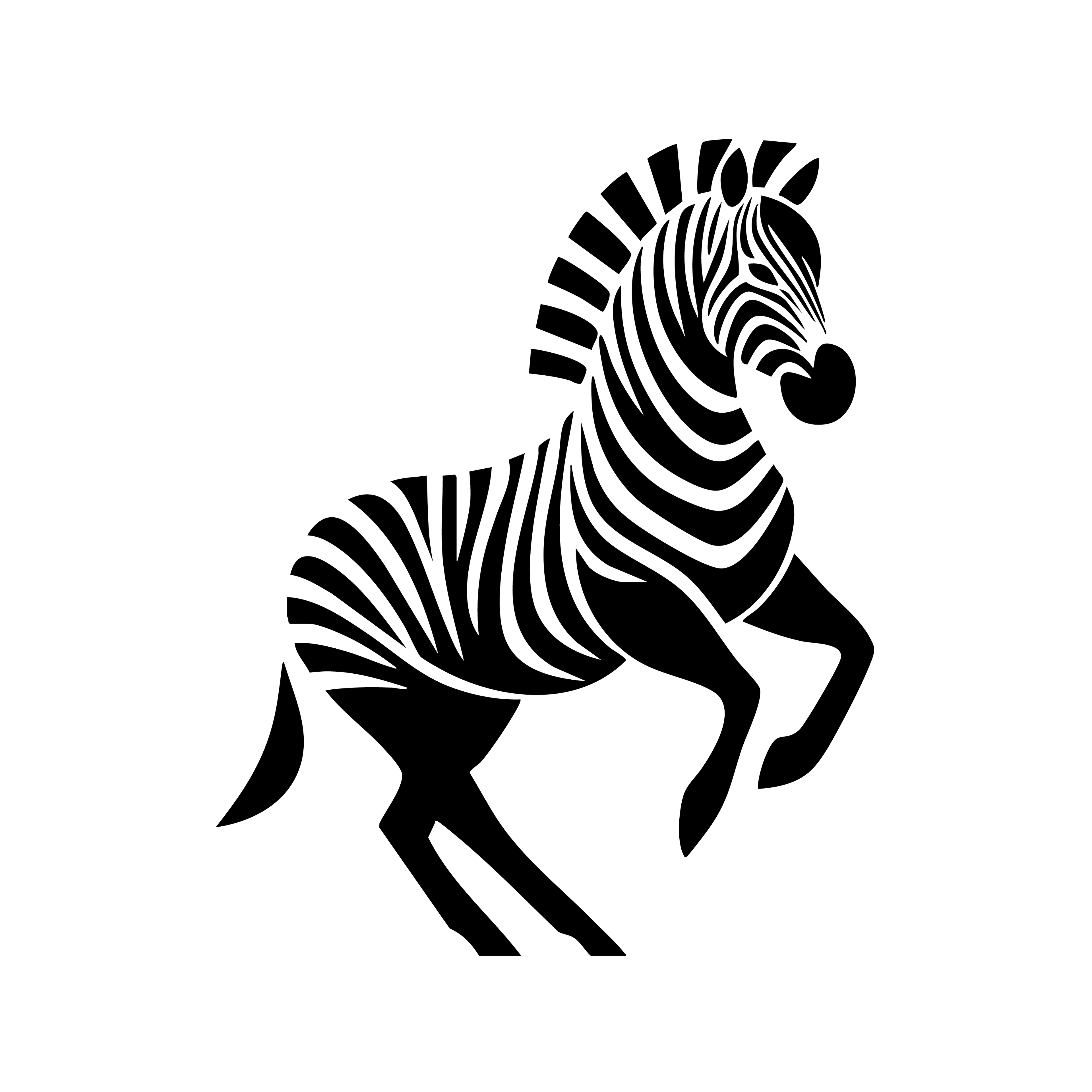 Vinyl Decal / Laptop Sticker/ Car Decal / Phone Sticker Zebra