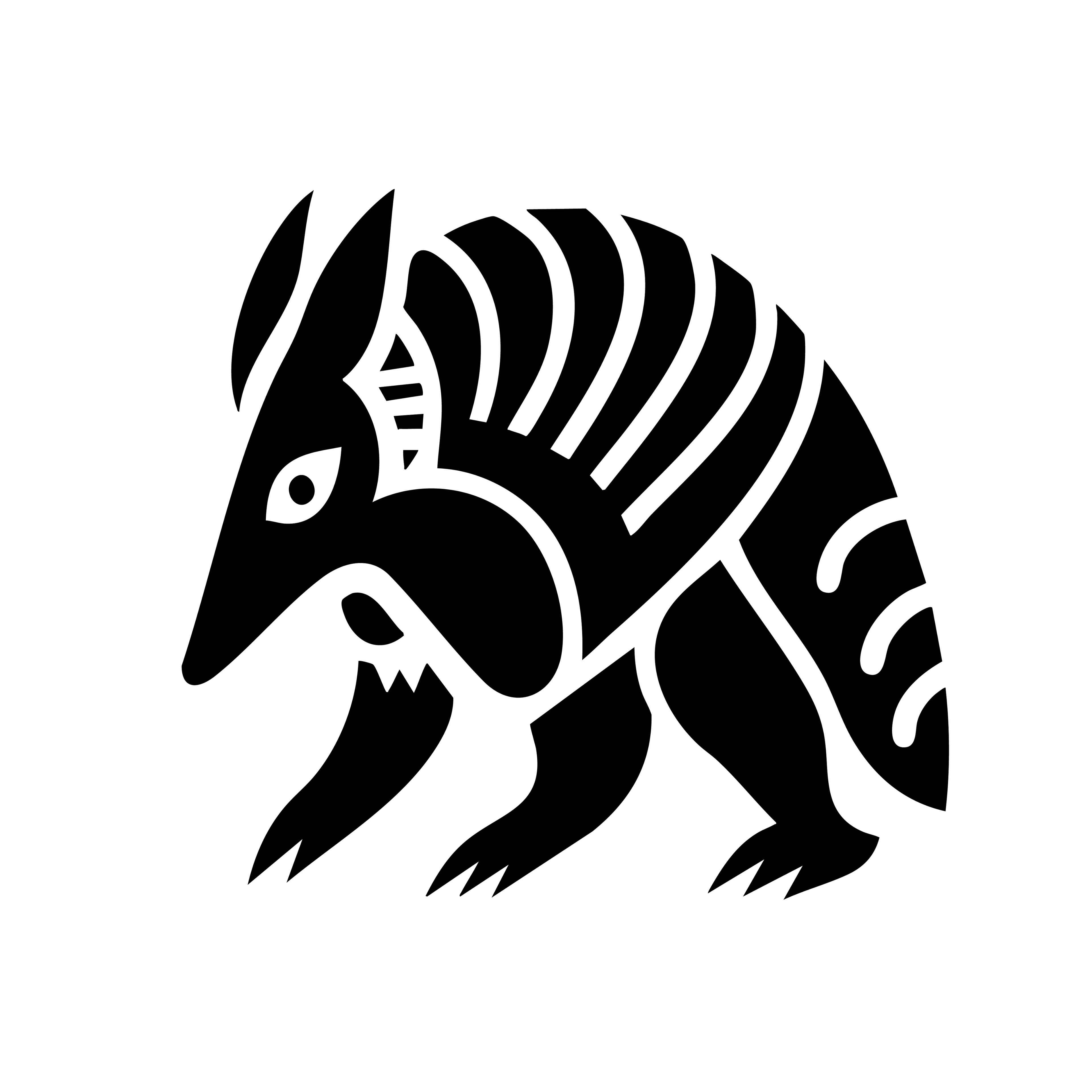 Vinyl Decal / Laptop Sticker/ Car Decal / Phone Sticker Armadillo