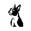 Vinyl Decal / Laptop Sticker/ Car Decal / Phone Sticker Boston Terrier