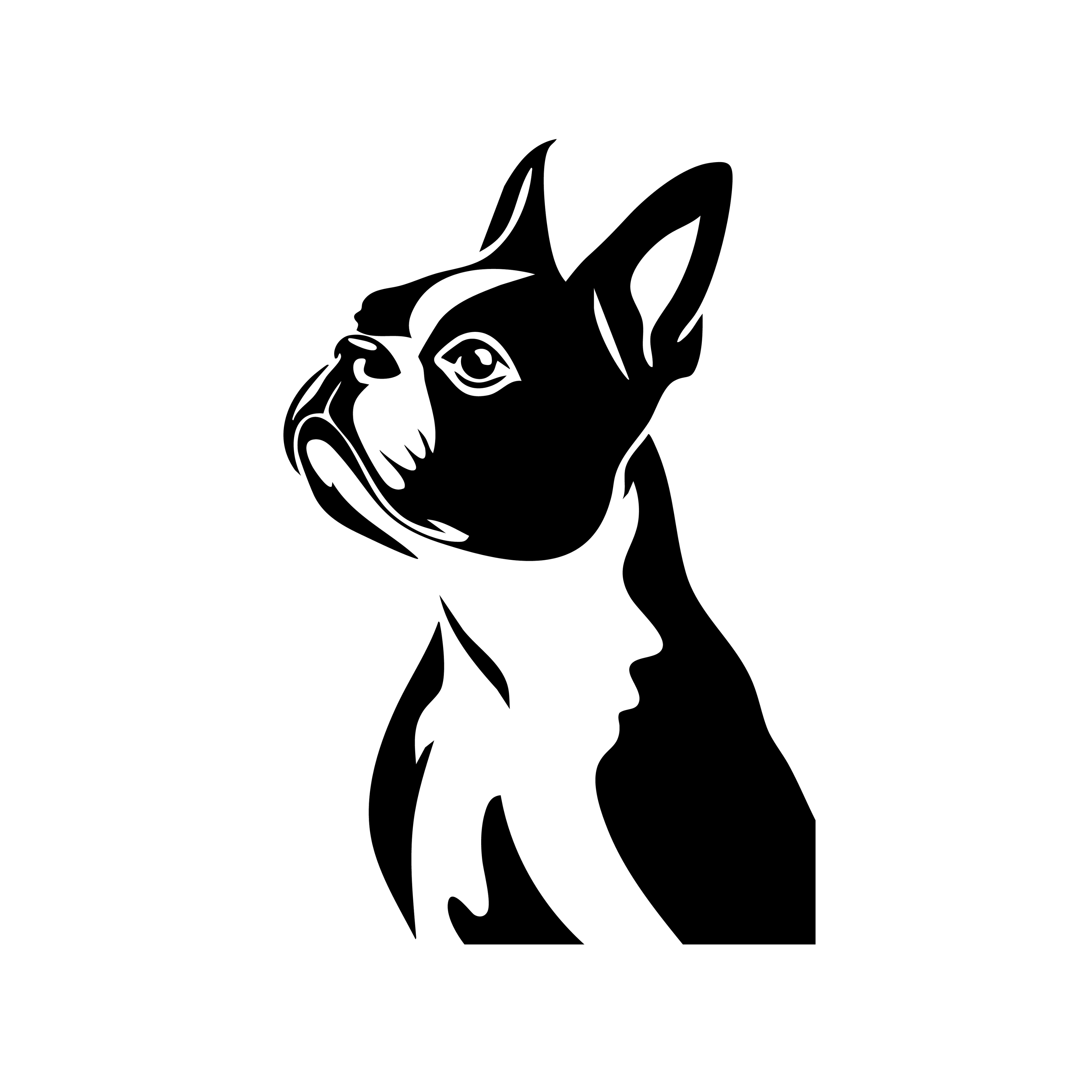 Vinyl Decal / Laptop Sticker/ Car Decal / Phone Sticker Boston Terrier