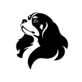 Vinyl Decal / Laptop Sticker/ Car Decal / Phone Sticker Cavalier King Charles Spaniel