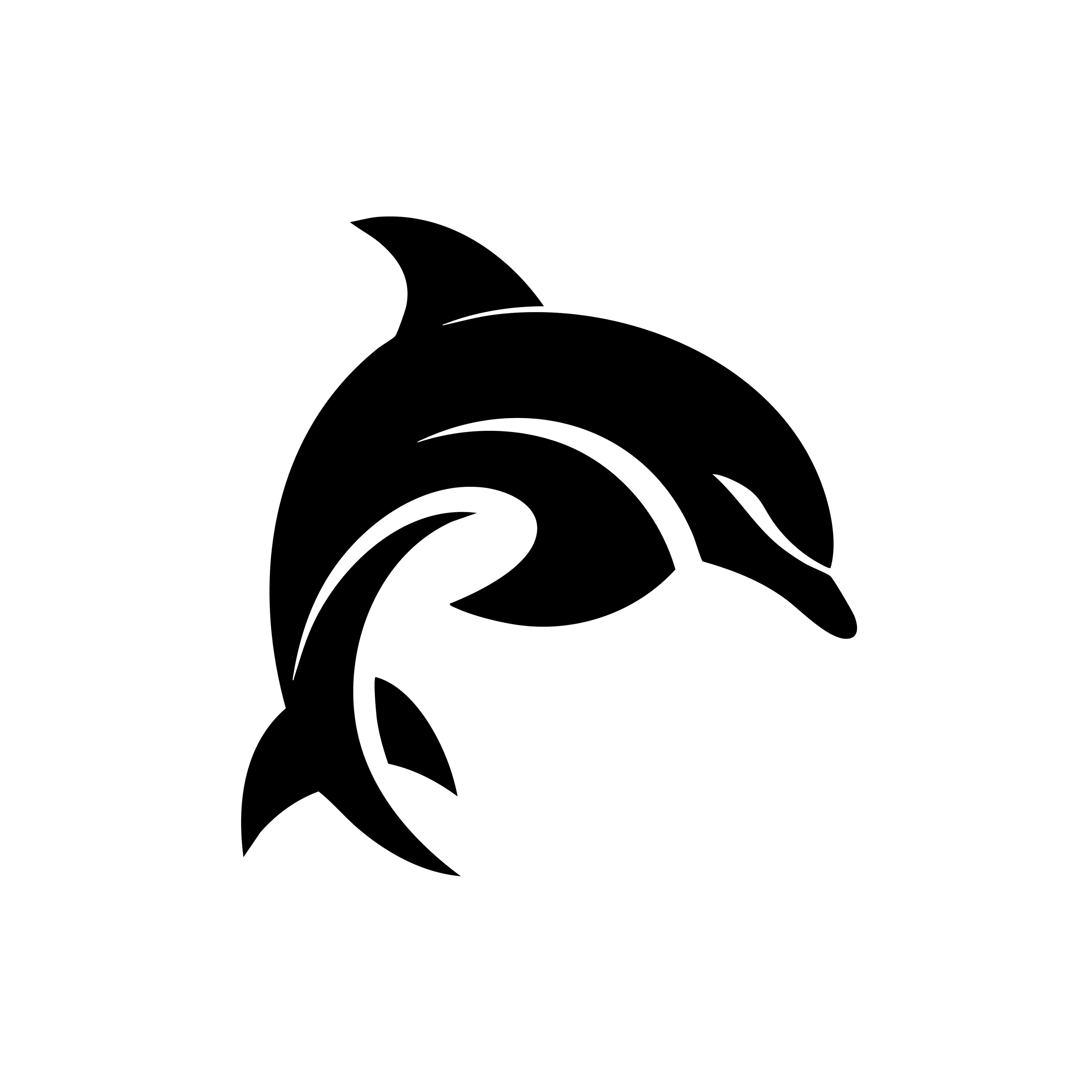 Vinyl Decal / Laptop Sticker/ Car Decal / Phone Sticker Dolphin