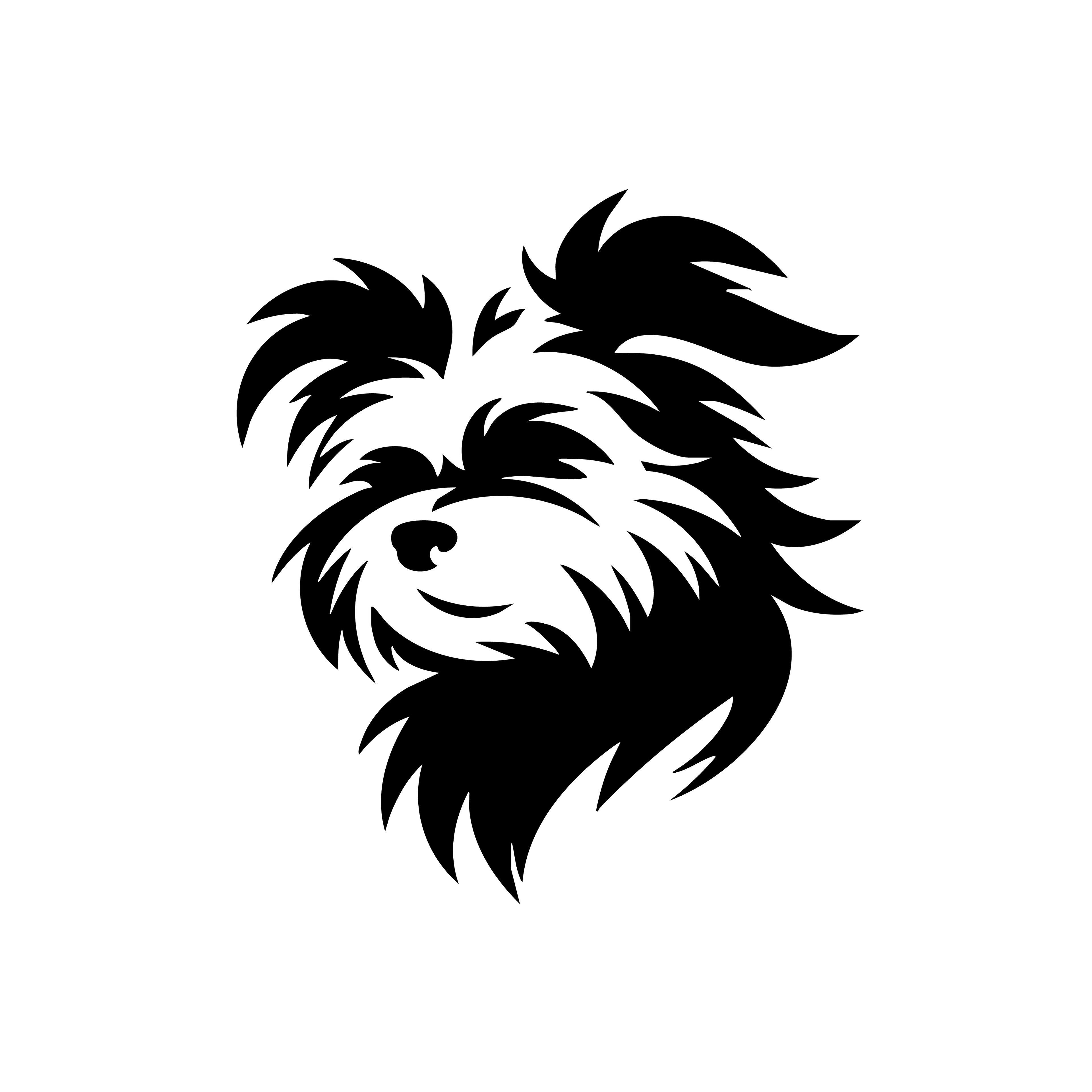 Vinyl Decal / Laptop Sticker/ Car Decal / Phone Sticker Havenese