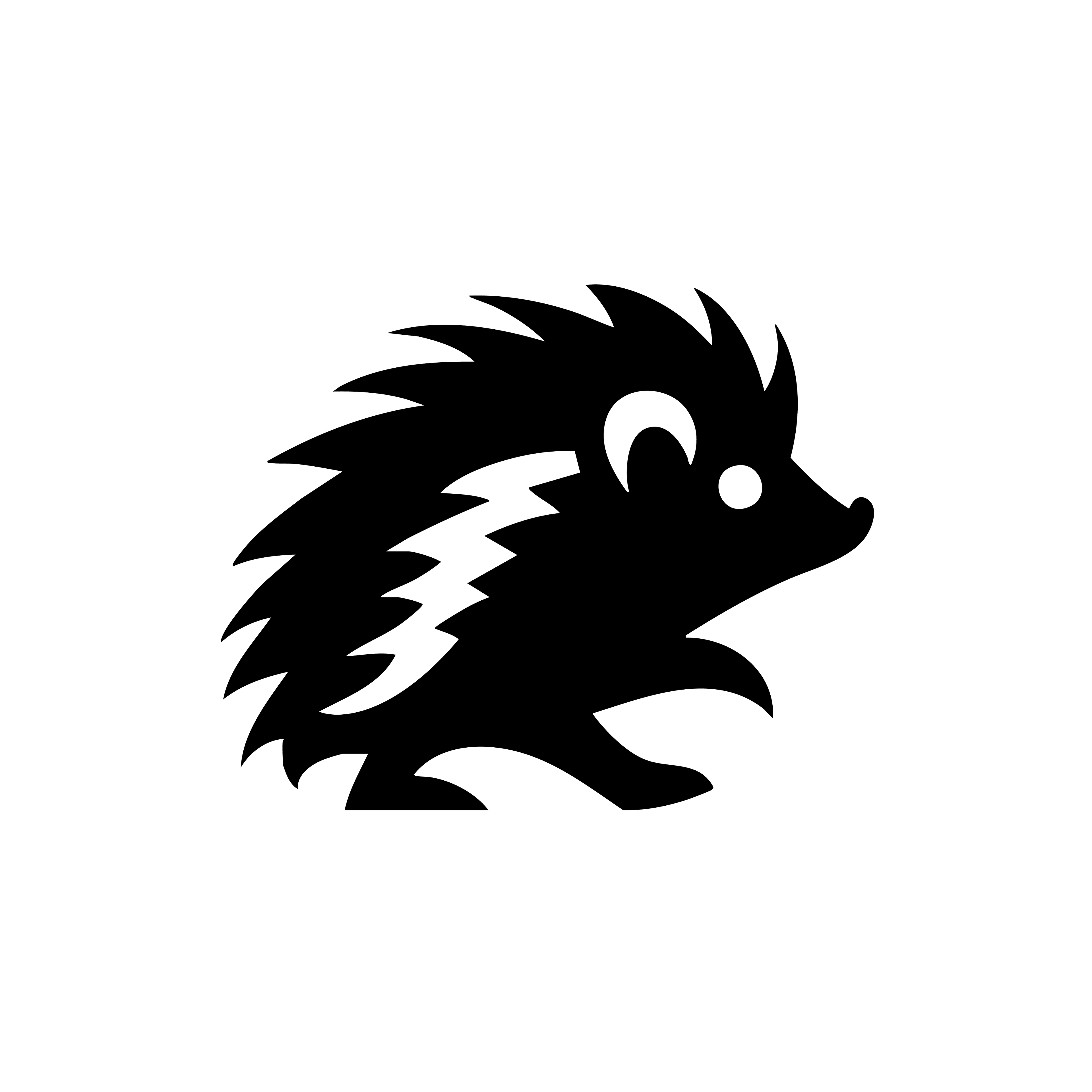 Vinyl Decal / Laptop Sticker/ Car Decal / Phone Sticker Hedgehog