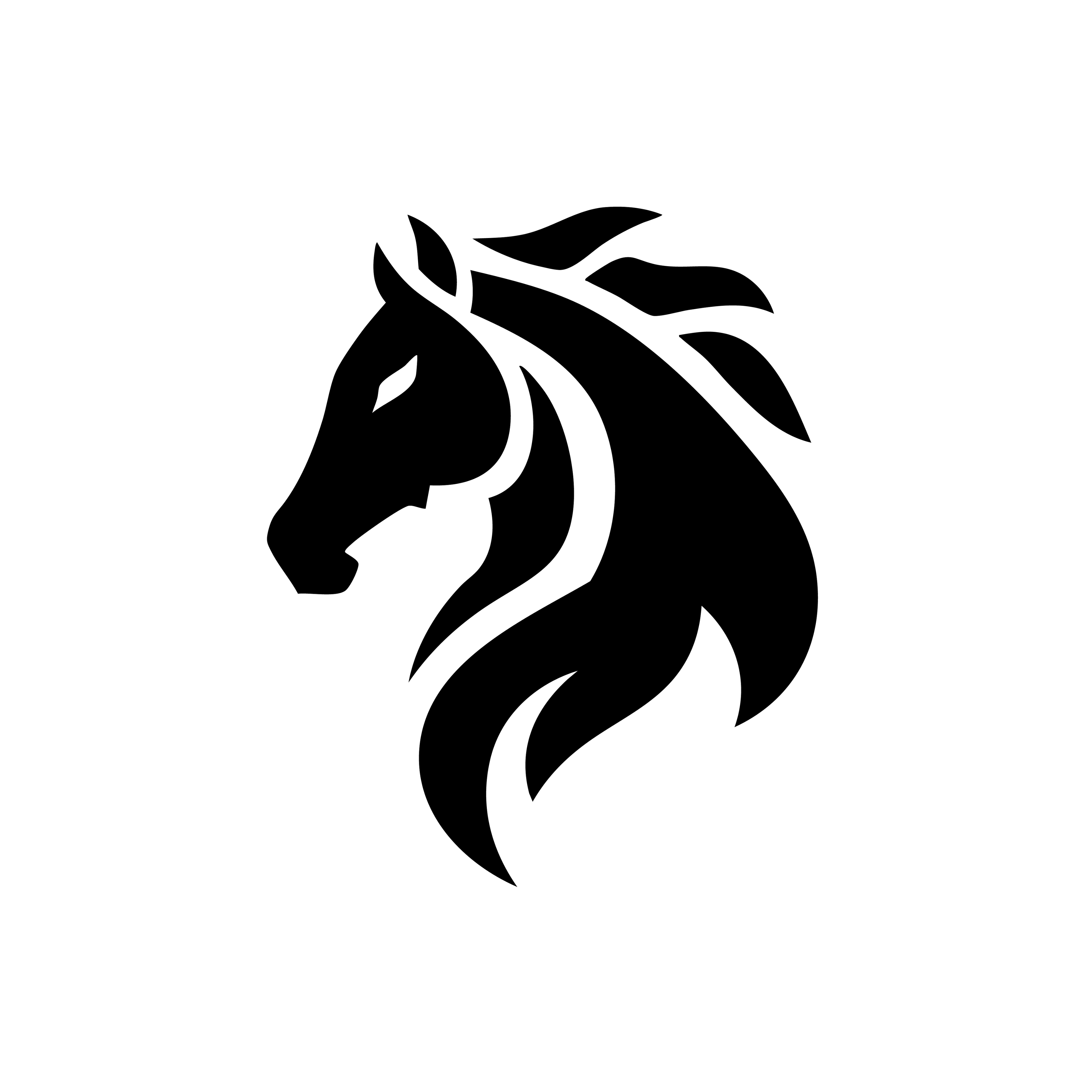 Vinyl Decal / Laptop Sticker/ Car Decal / Phone Sticker Horse