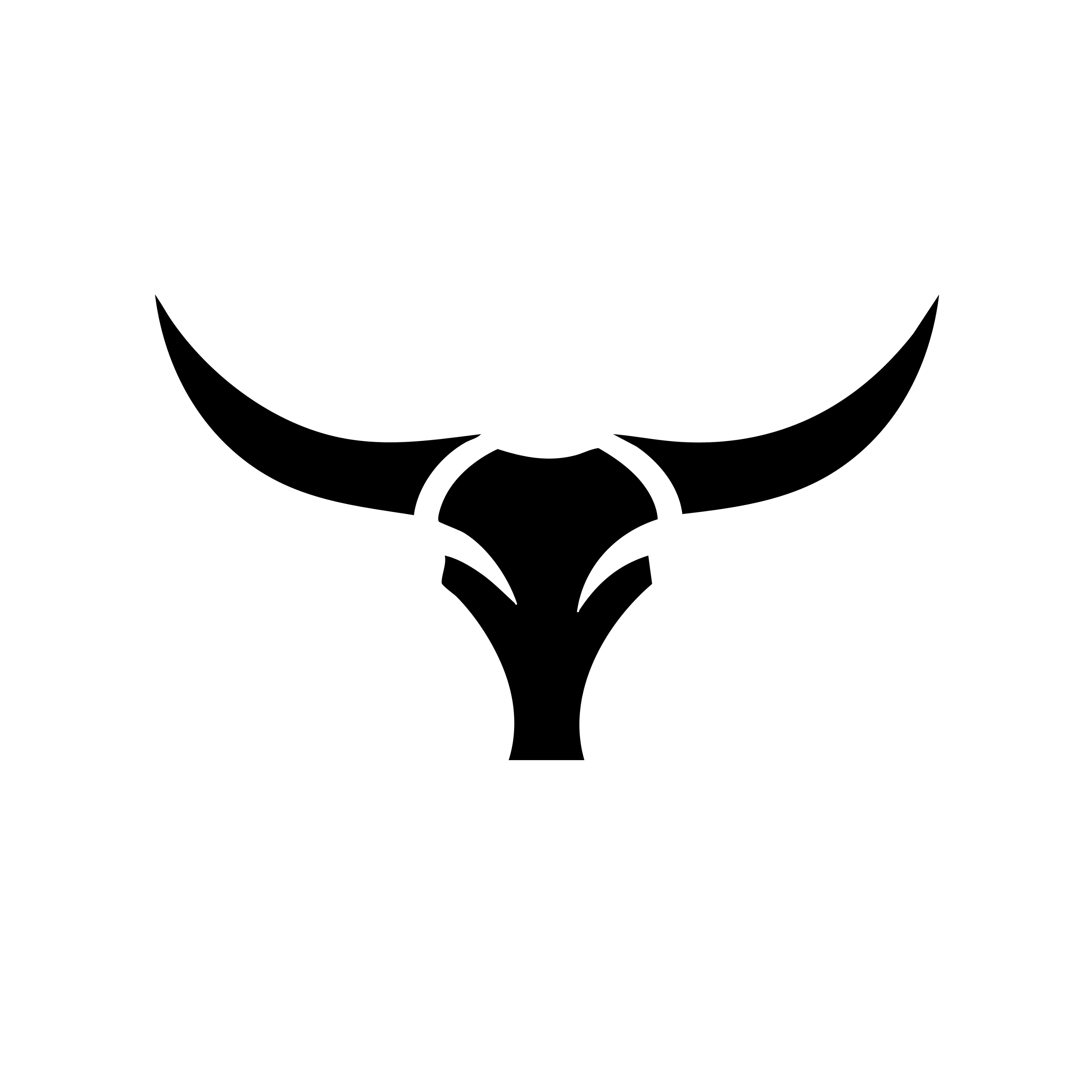 Vinyl Decal / Laptop Sticker/ Car Decal / Phone Sticker Longhorn