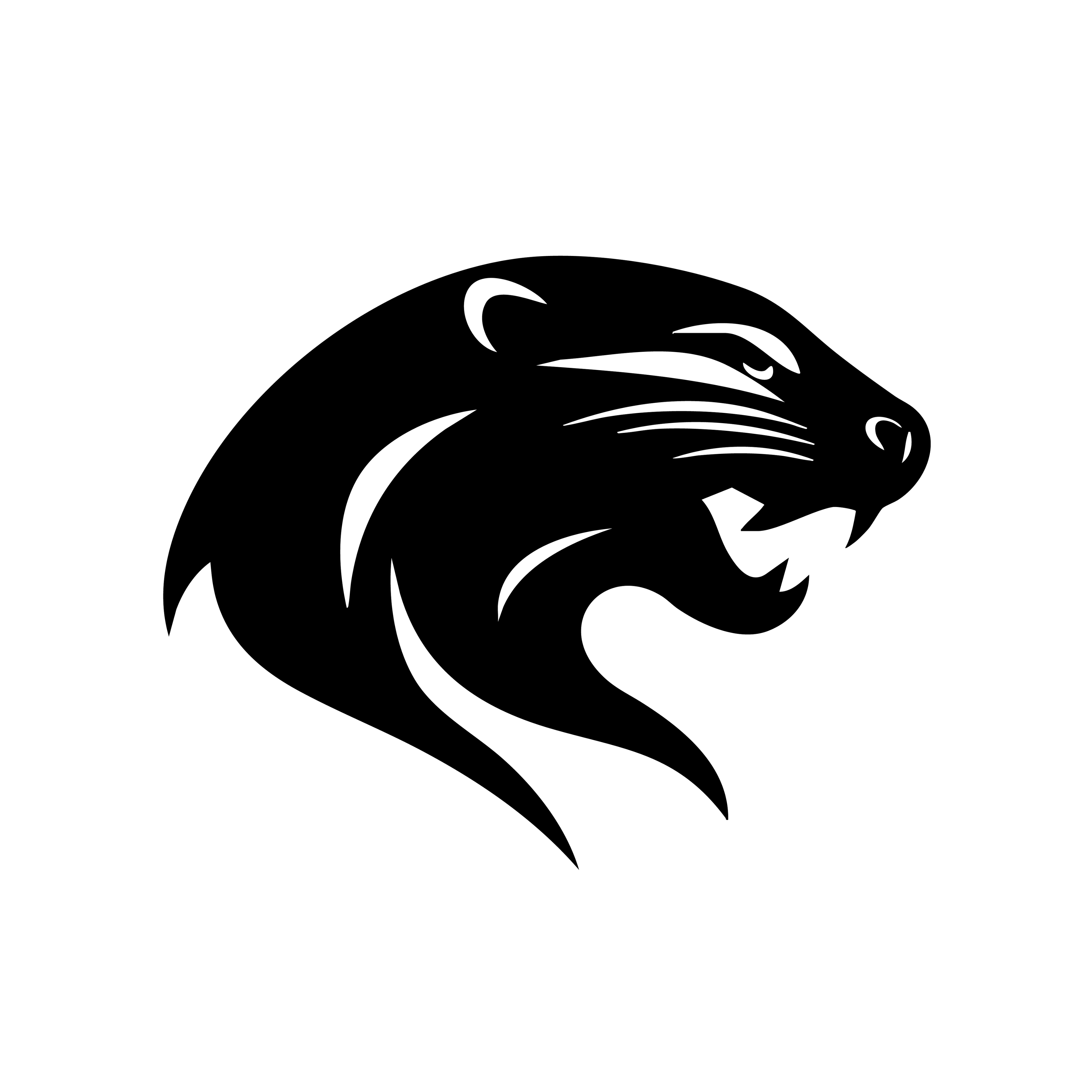 Vinyl Decal / Laptop Sticker/ Car Decal / Phone Sticker Otter