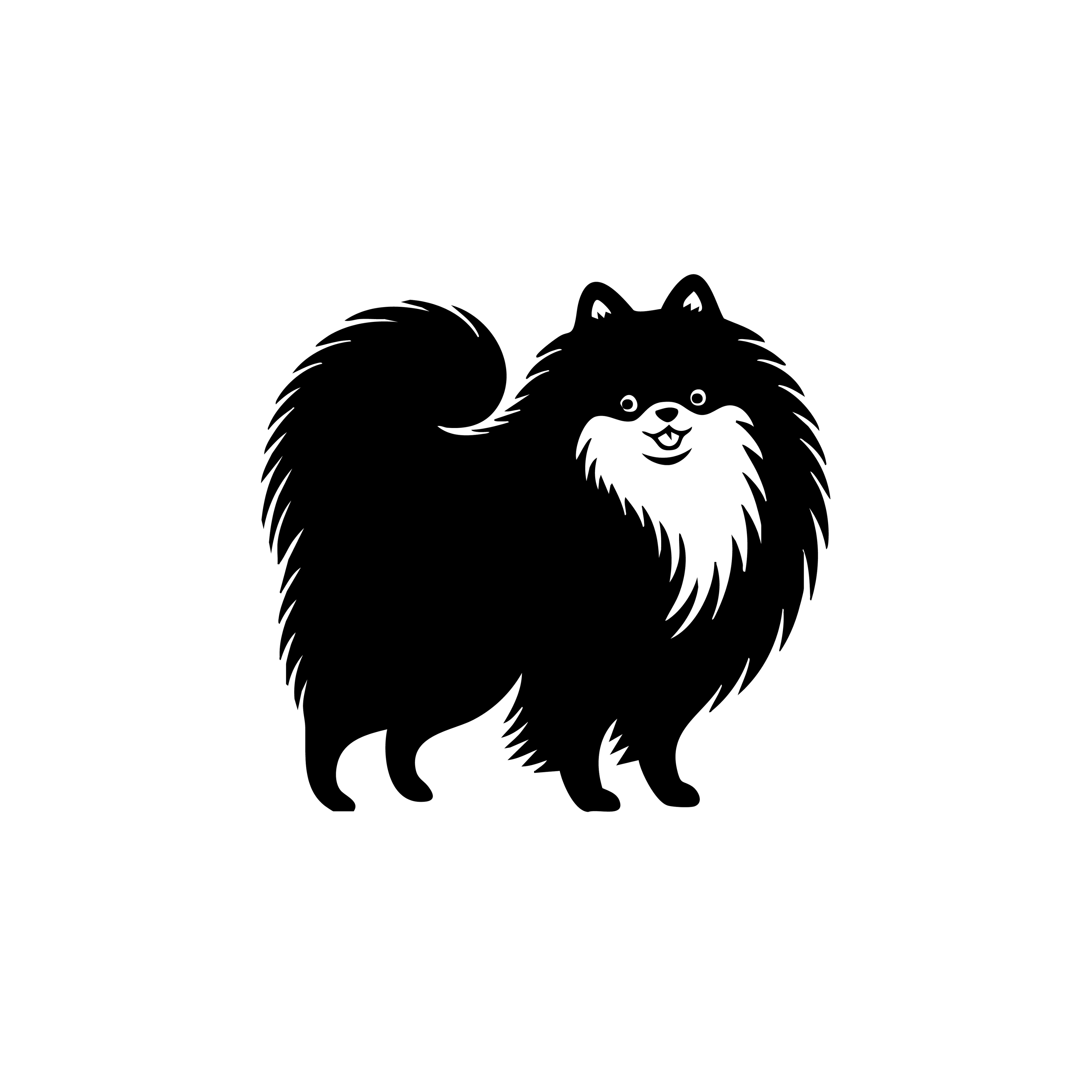 Vinyl Decal / Laptop Sticker/ Car Decal / Phone Sticker Pomeranian