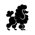 Vinyl Decal / Laptop Sticker/ Car Decal / Phone Sticker Poodle