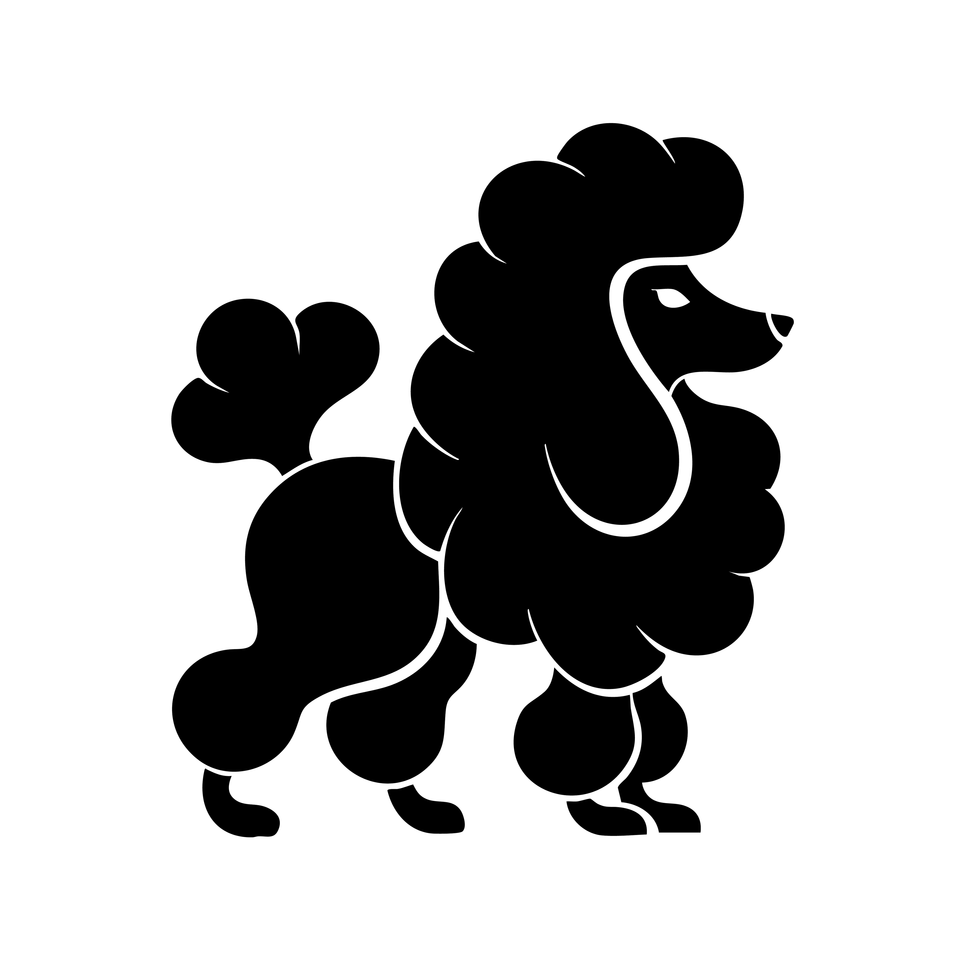 Vinyl Decal / Laptop Sticker/ Car Decal / Phone Sticker Poodle