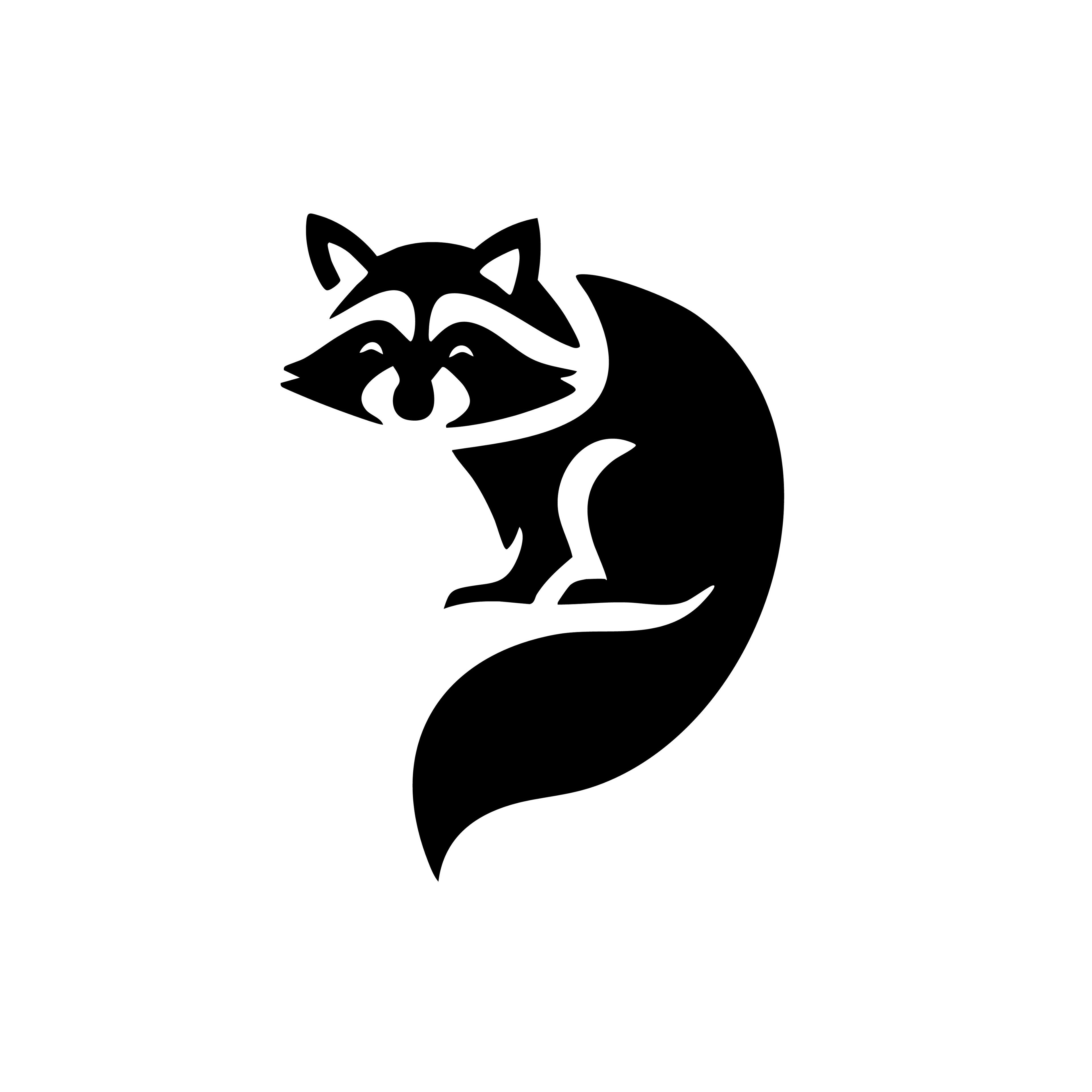 Vinyl Decal / Laptop Sticker/ Car Decal / Phone Sticker Racoon