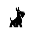 Vinyl Decal / Laptop Sticker/ Car Decal / Phone Sticker Scottish Terrier