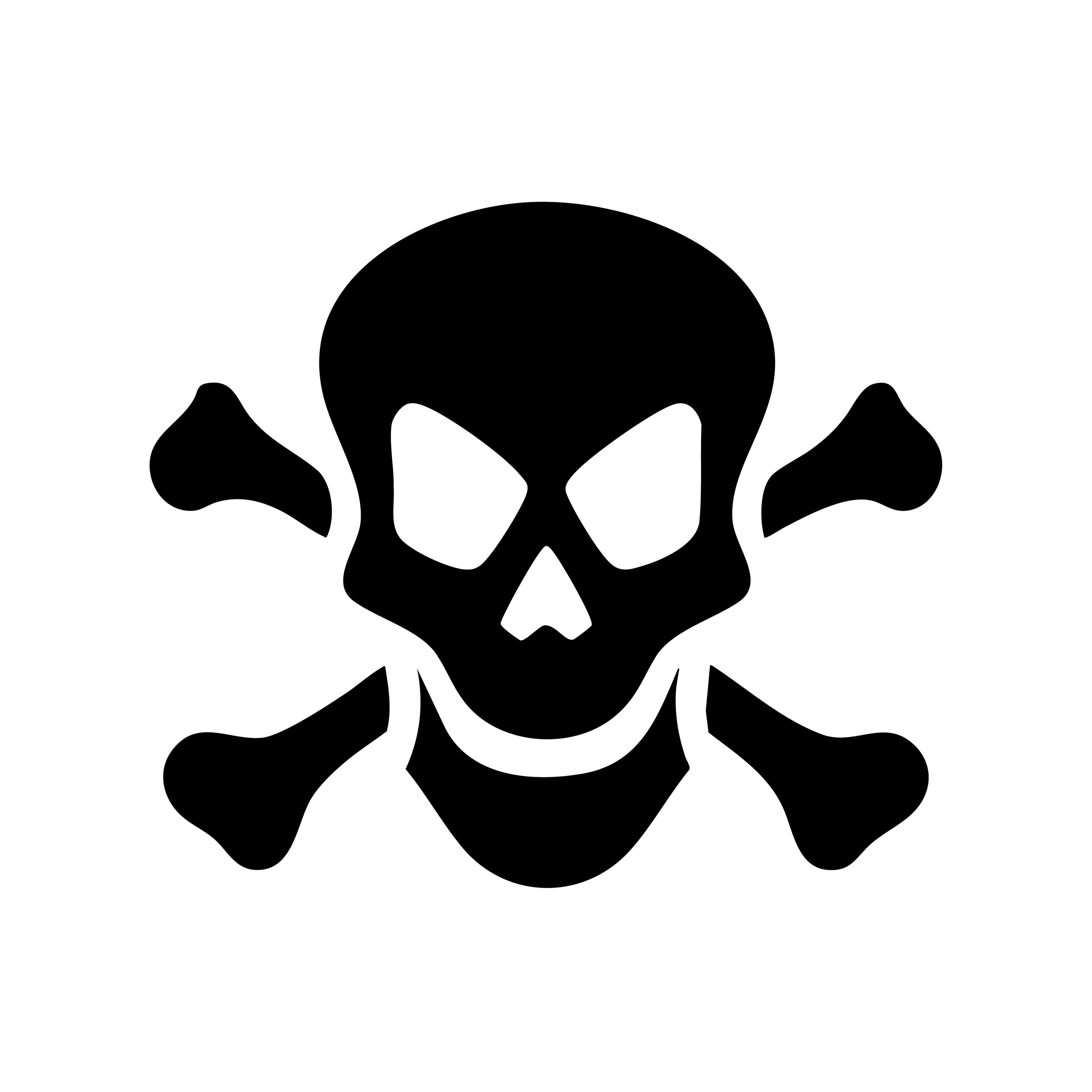 Vinyl Decal / Laptop Sticker/ Car Decal /  Skull & Crossbones