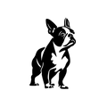 Vinyl Decal / Laptop Sticker/ Car Decal / Phone Sticker Boston Terrier