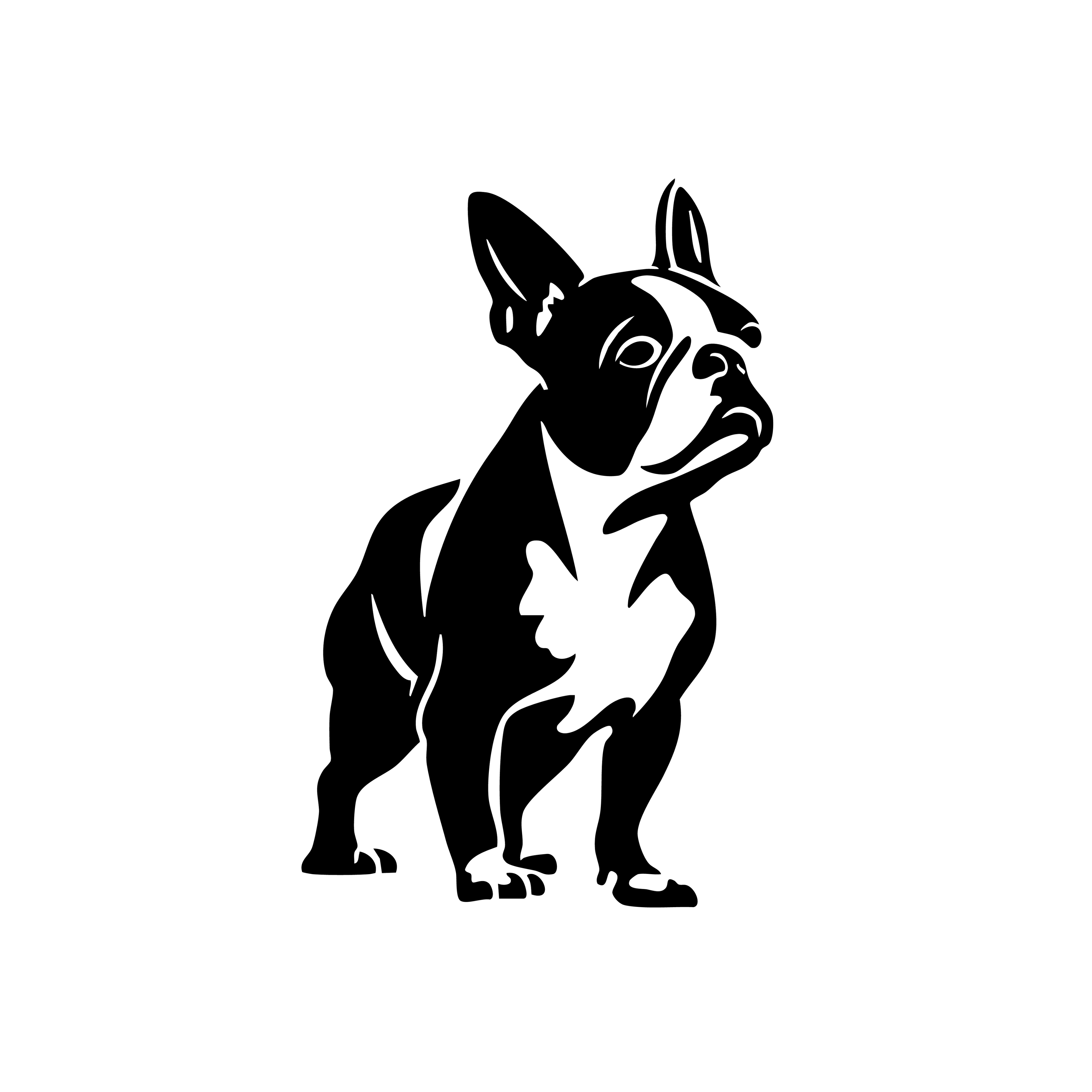 Vinyl Decal / Laptop Sticker/ Car Decal / Phone Sticker Boston Terrier