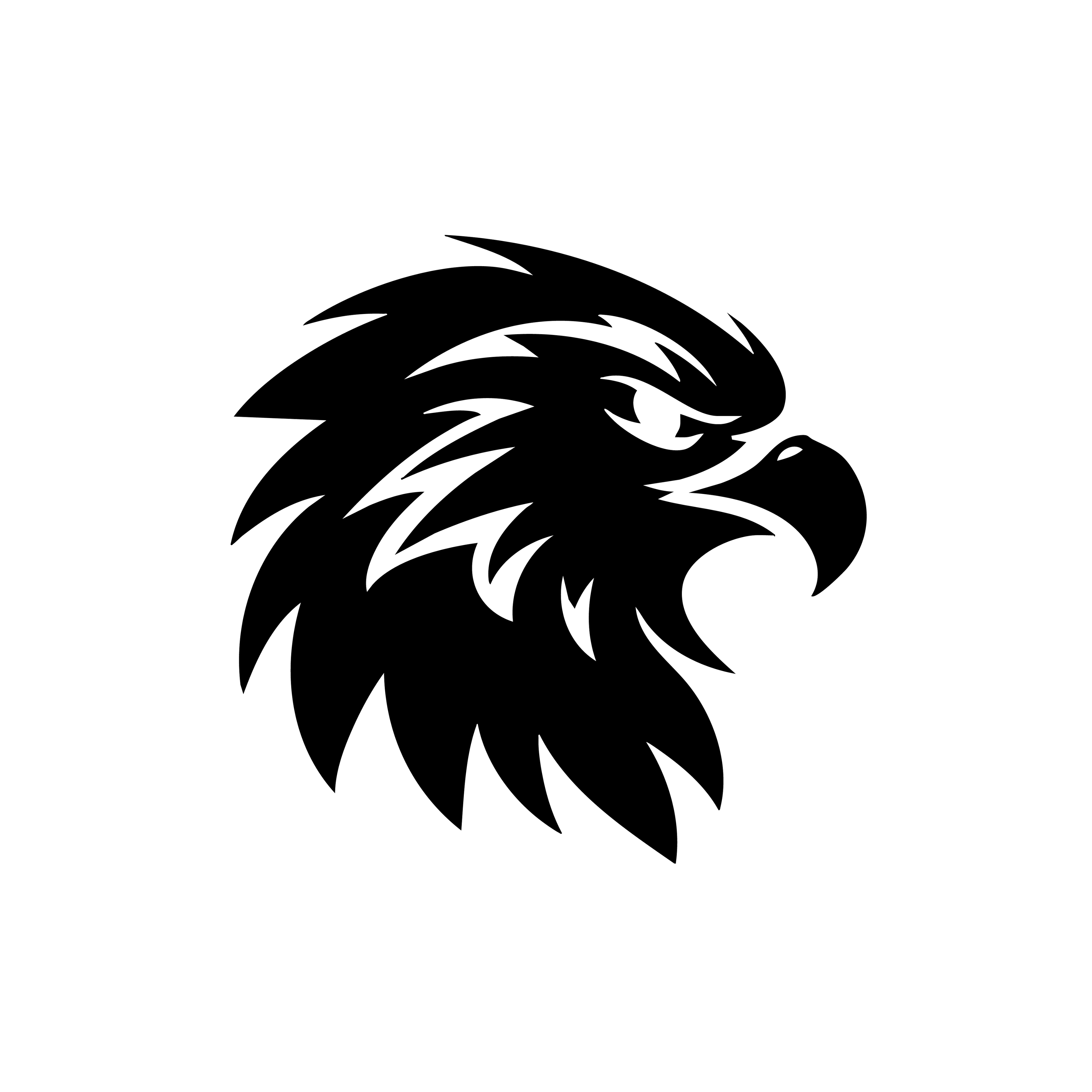 Vinyl Decal / Laptop Sticker/ Car Decal / Phone Sticker Eagle