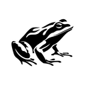 Vinyl Decal / Laptop Sticker/ Car Decal / Phone Sticker Frog