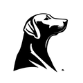 Vinyl Decal / Laptop Sticker/ Car Decal / Phone Sticker Labrador Retriever