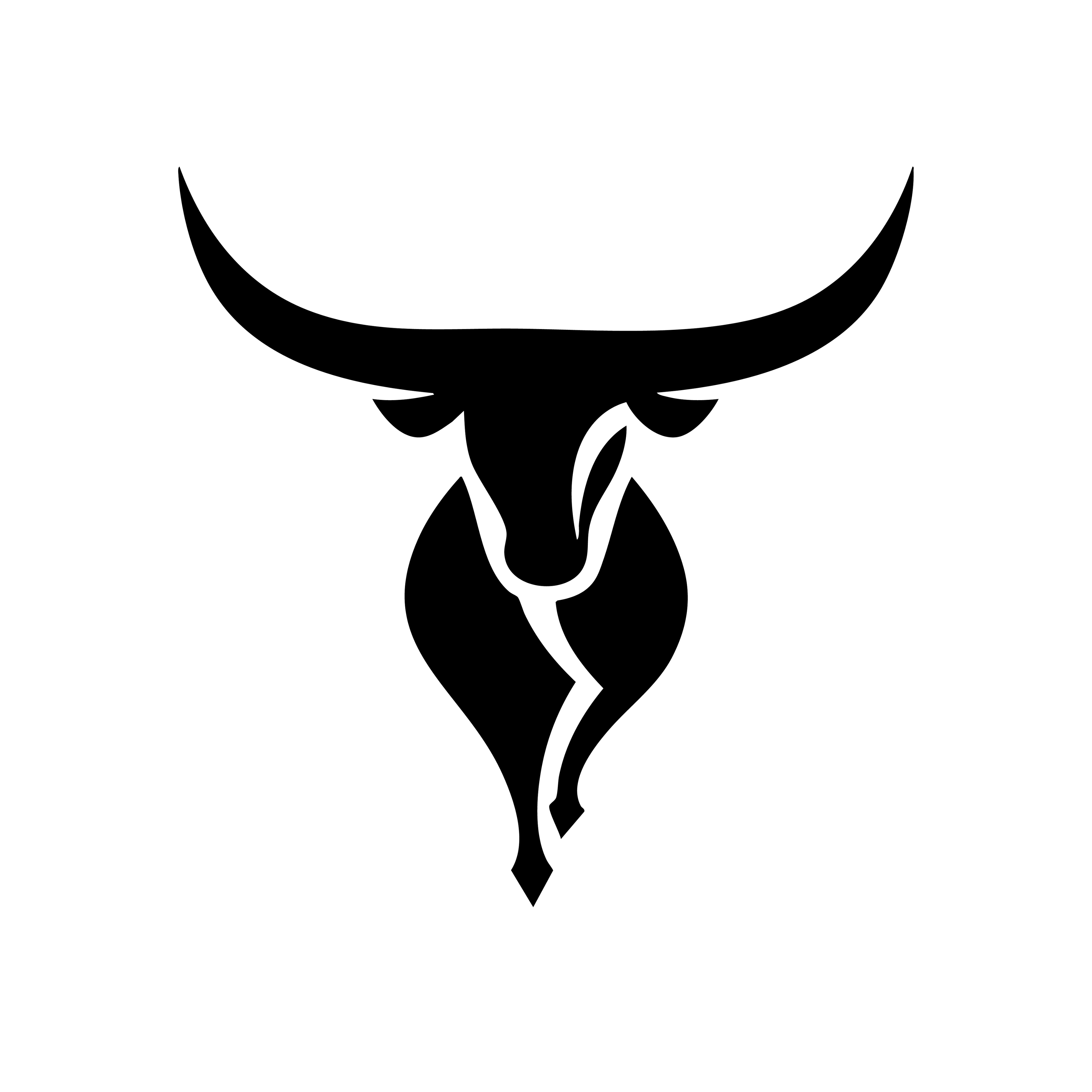 Vinyl Decal / Laptop Sticker/ Car Decal / Phone Sticker Longhorn
