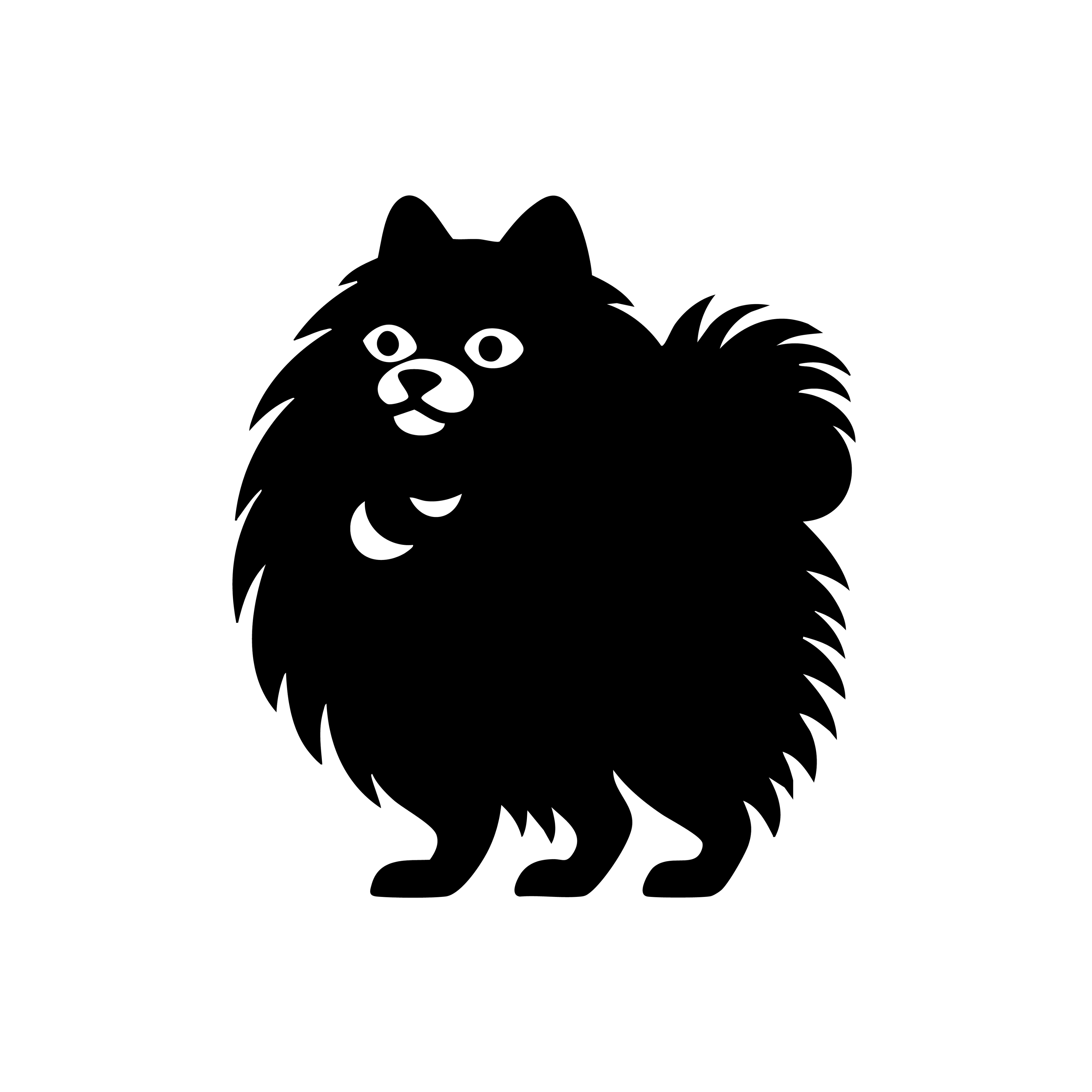 Vinyl Decal / Laptop Sticker/ Car Decal / Phone Sticker Pomeranian