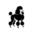 Vinyl Decal / Laptop Sticker/ Car Decal / Phone Sticker Poodle