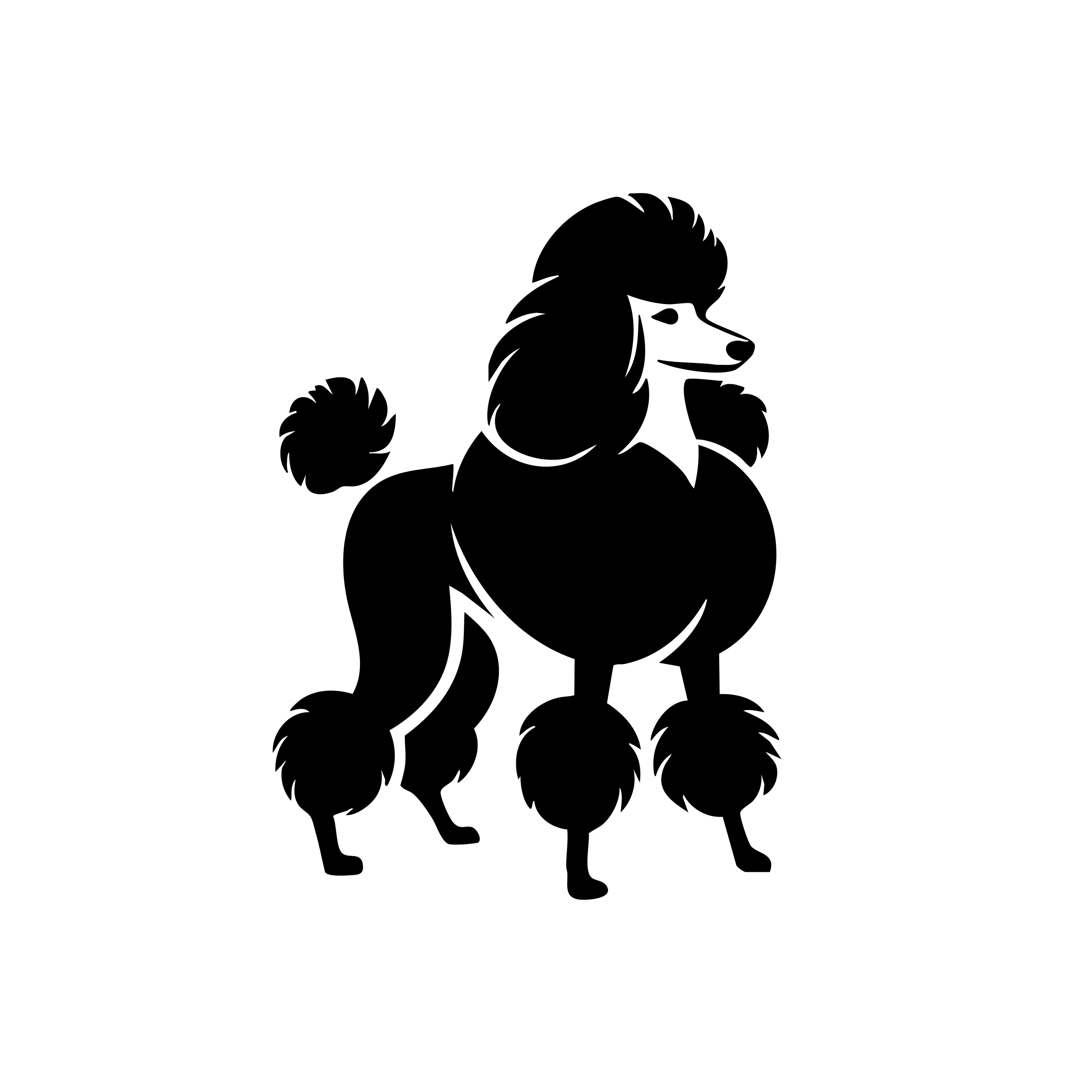 Vinyl Decal / Laptop Sticker/ Car Decal / Phone Sticker Poodle