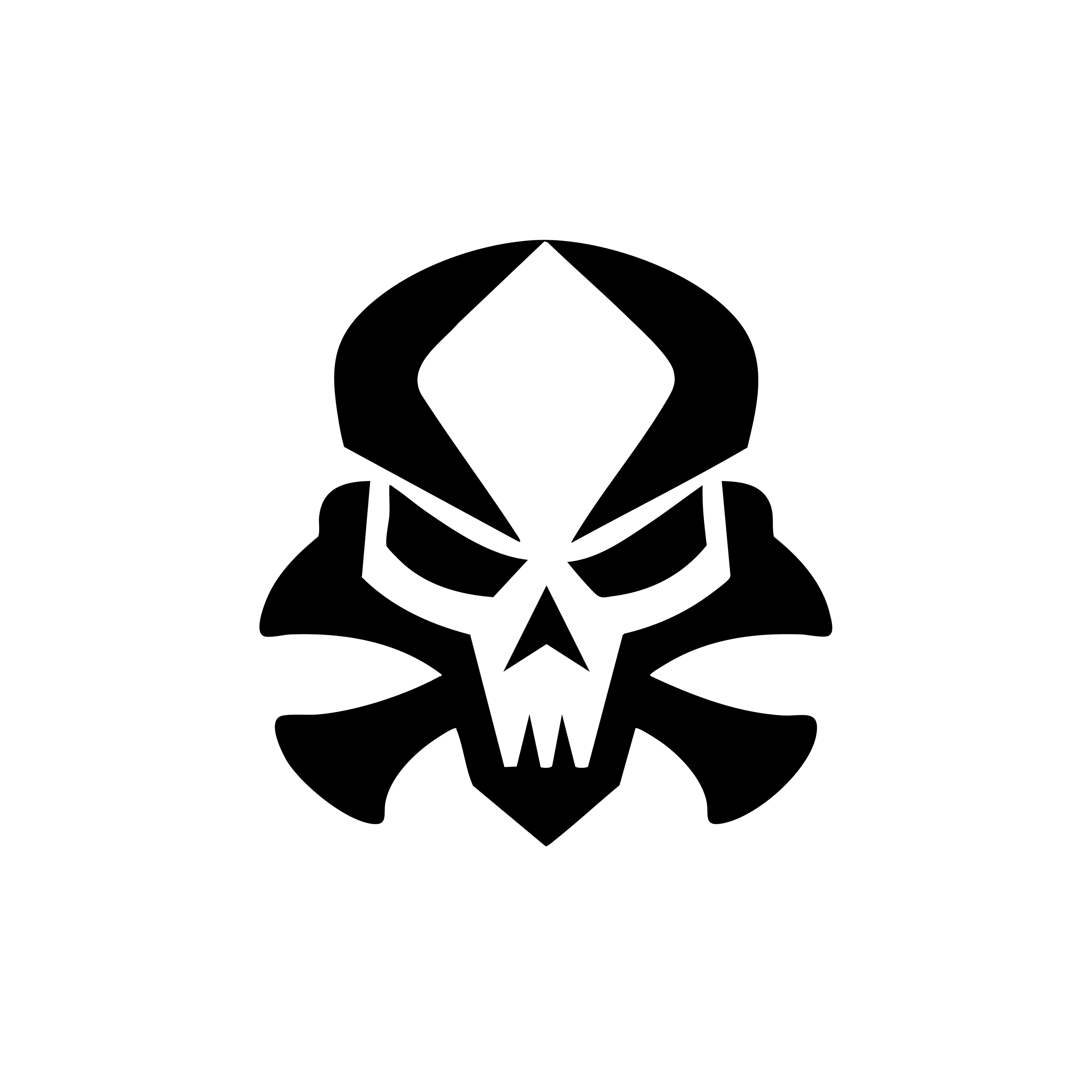 Vinyl Decal / Laptop Sticker/ Car Decal /  Skull & Crossbones