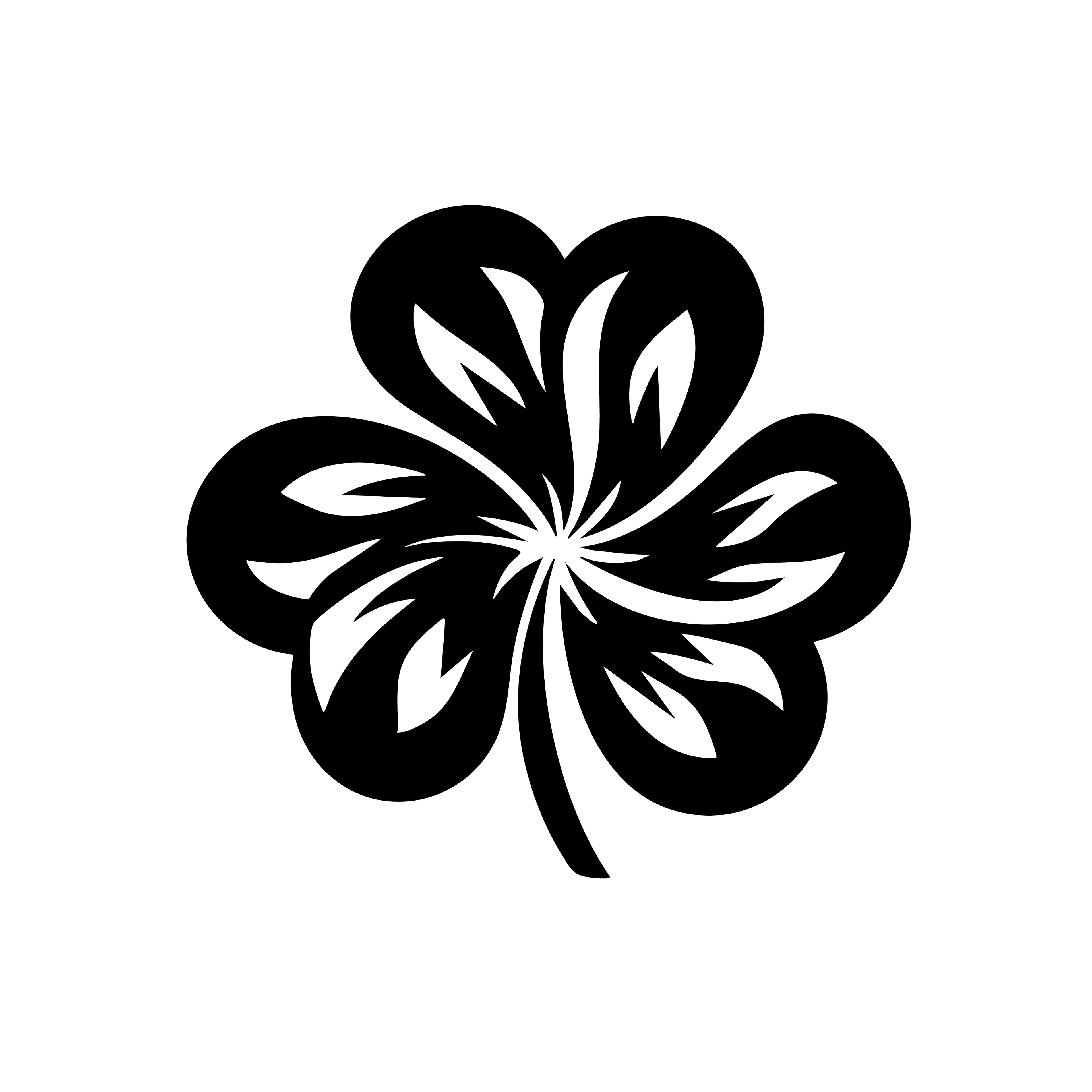 Vinyl Decal / Laptop Sticker/ Car Decal / Phone Sticker Shamrock