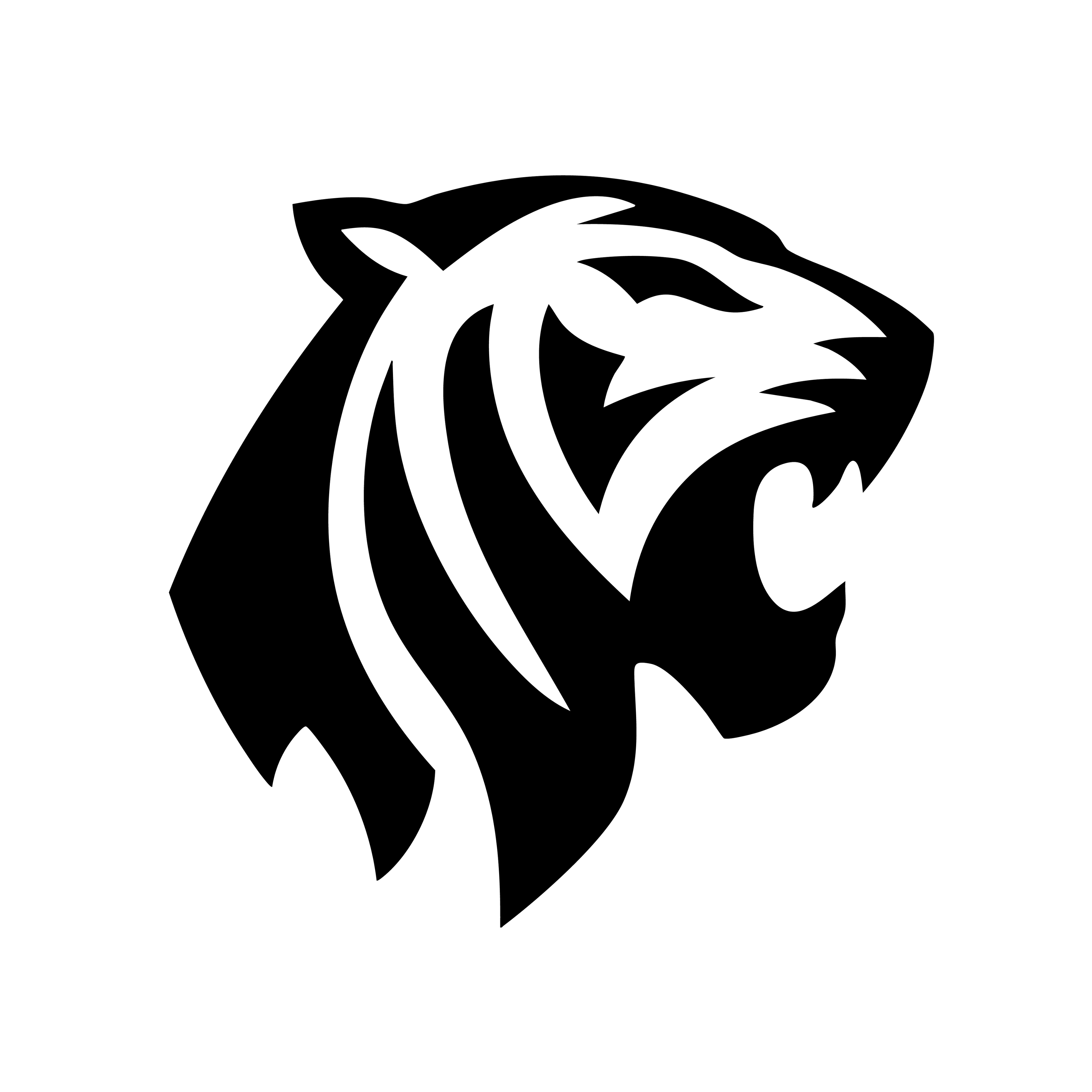 Vinyl Decal / Laptop Sticker/ Car Decal / Phone Sticker Tiger