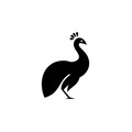Vinyl Decal / Laptop Sticker/ Car Decal / Phone Sticker Peacock