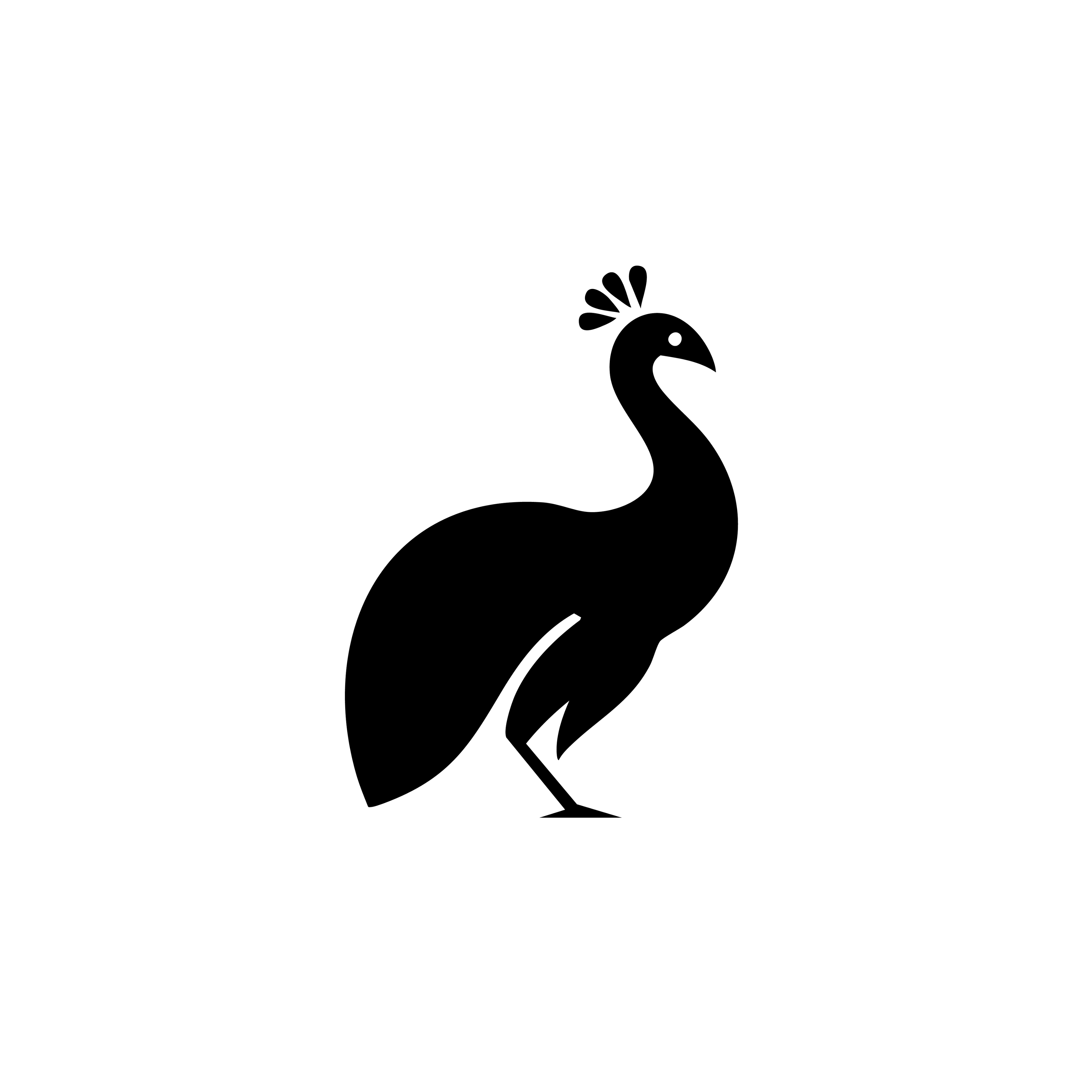 Vinyl Decal / Laptop Sticker/ Car Decal / Phone Sticker Peacock