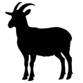 Vinyl Decal / Laptop Sticker/ Car Decal / Phone Sticker Goat