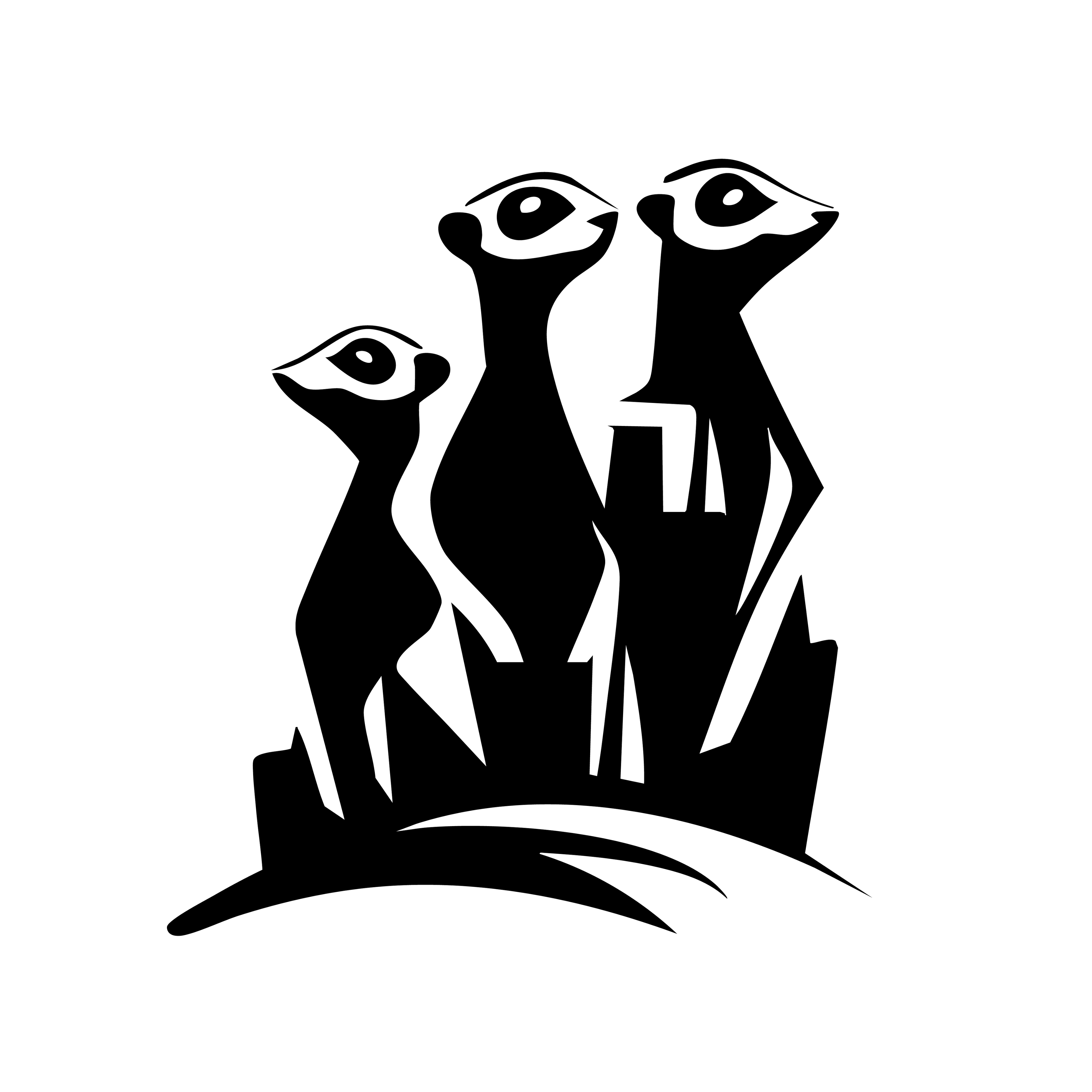 Vinyl Decal / Laptop Sticker/ Car Decal / Phone Sticker Meerkat