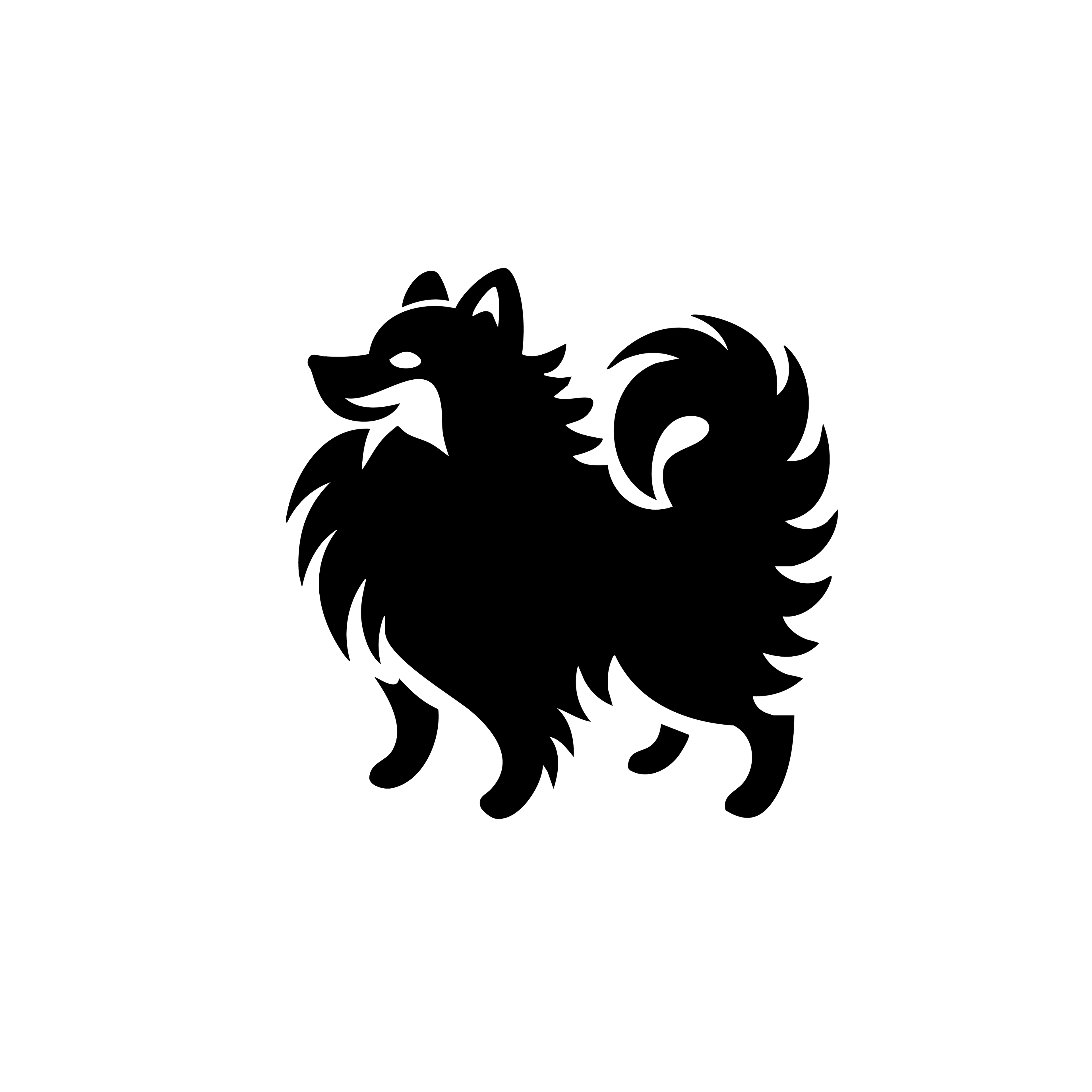 Vinyl Decal / Laptop Sticker/ Car Decal / Phone Sticker Pomeranian