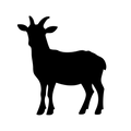 Vinyl Decal / Laptop Sticker/ Car Decal / Phone Sticker Goat