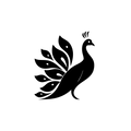 Vinyl Decal / Laptop Sticker/ Car Decal / Phone Sticker Peacock
