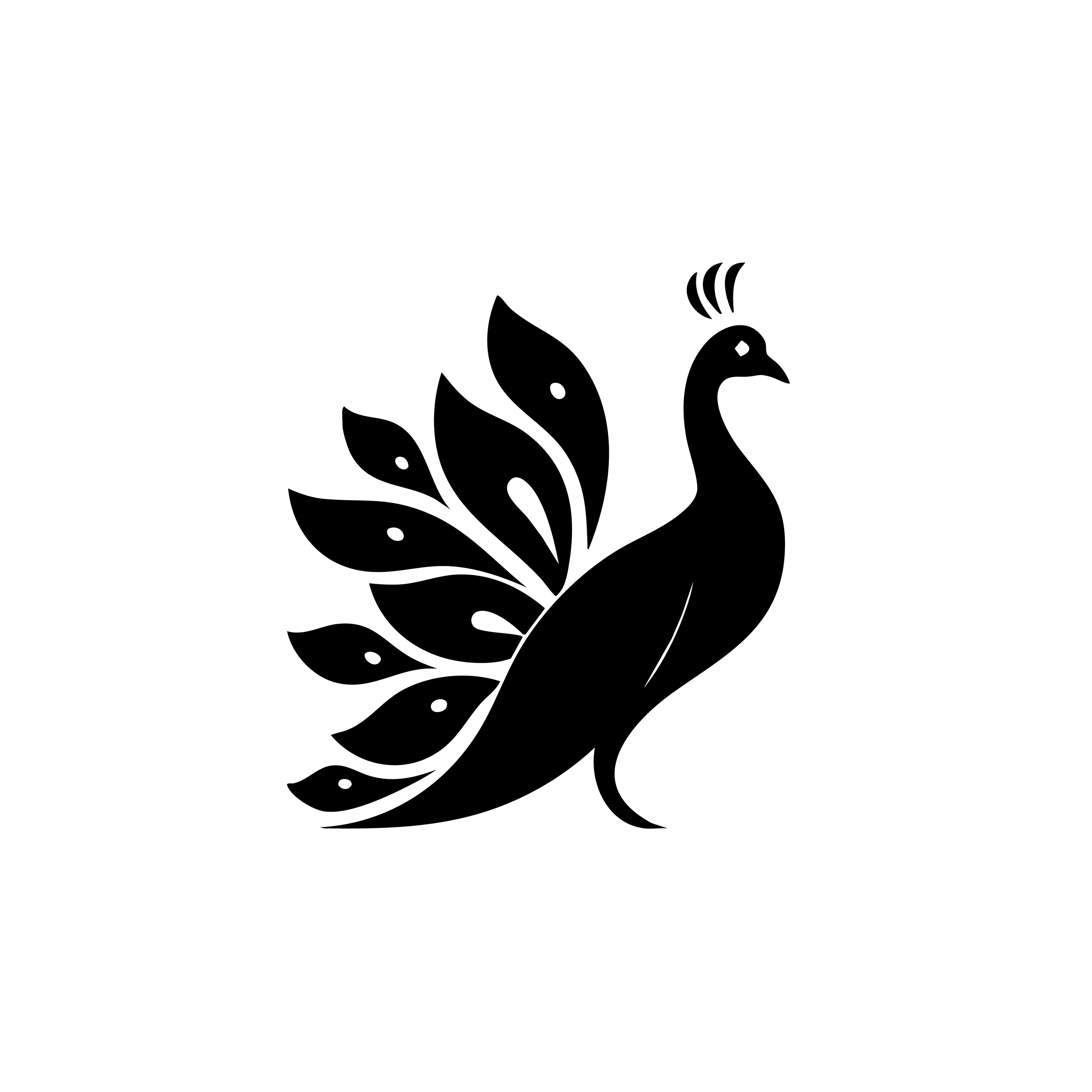 Vinyl Decal / Laptop Sticker/ Car Decal / Phone Sticker Peacock