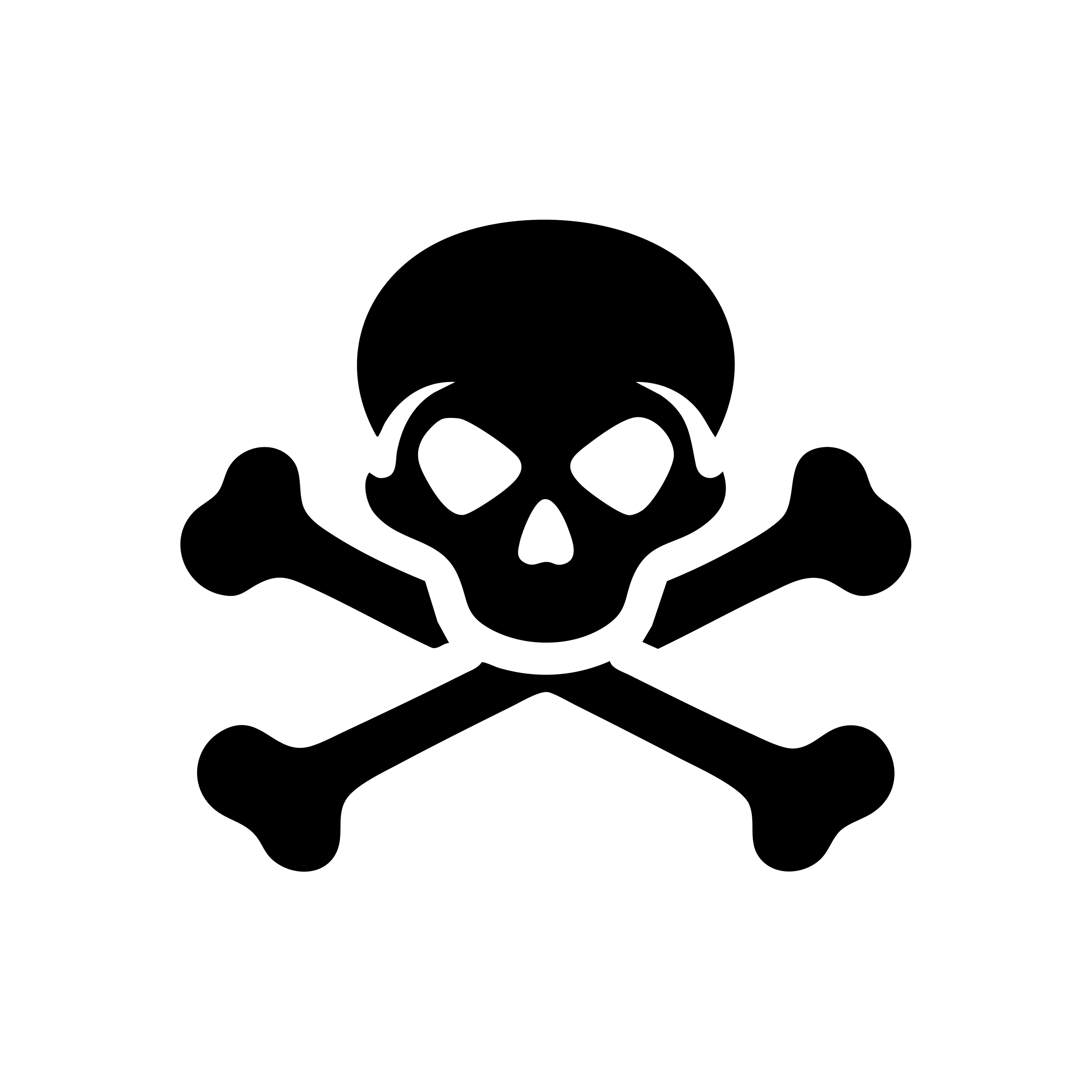 Vinyl Decal / Laptop Sticker/ Car Decal /  Skull & Crossbones